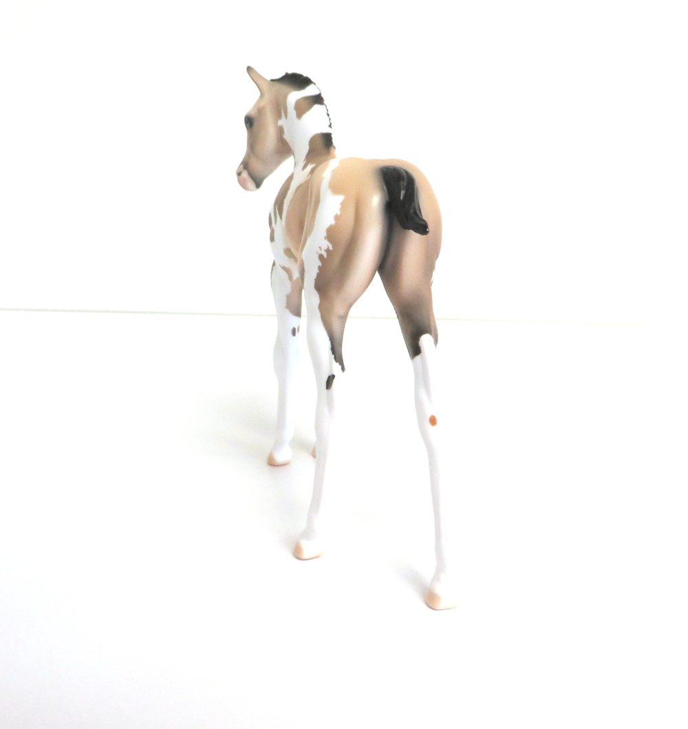 PETAL - LE-5 BUCKSKIN TOBIANO ARABIAN FOAL BY DAWN QUICK 3-12-19