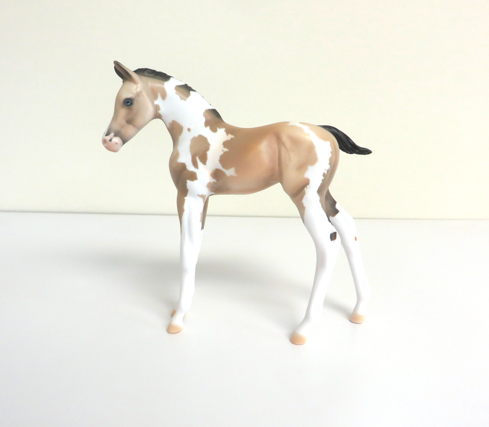 PETAL - LE-5 BUCKSKIN TOBIANO ARABIAN FOAL BY DAWN QUICK 3-12-19