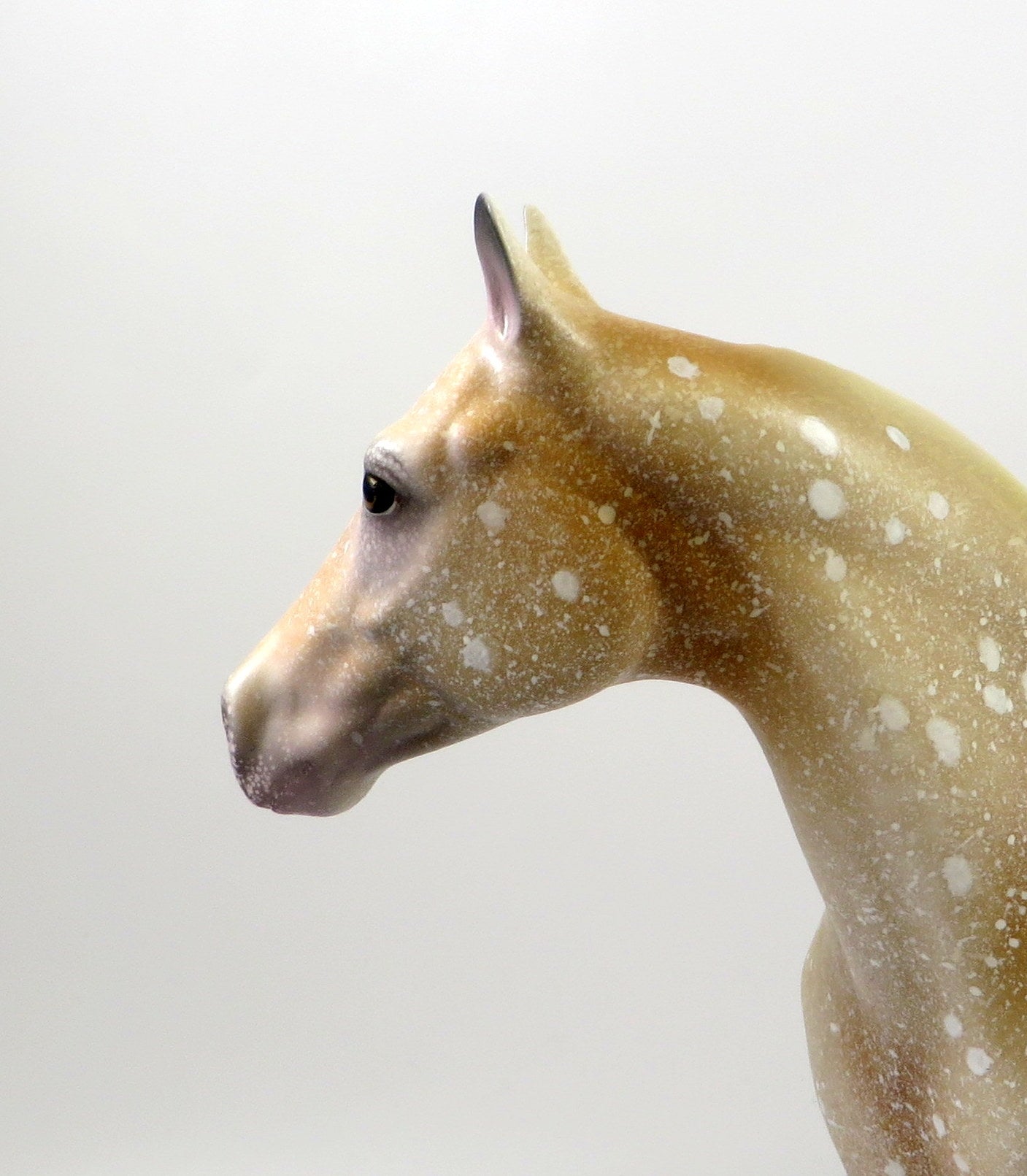 SECOYA-OOAK LIGHT CHESTNUT APPALOOSA ISH MODEL HORSE 8/6/19