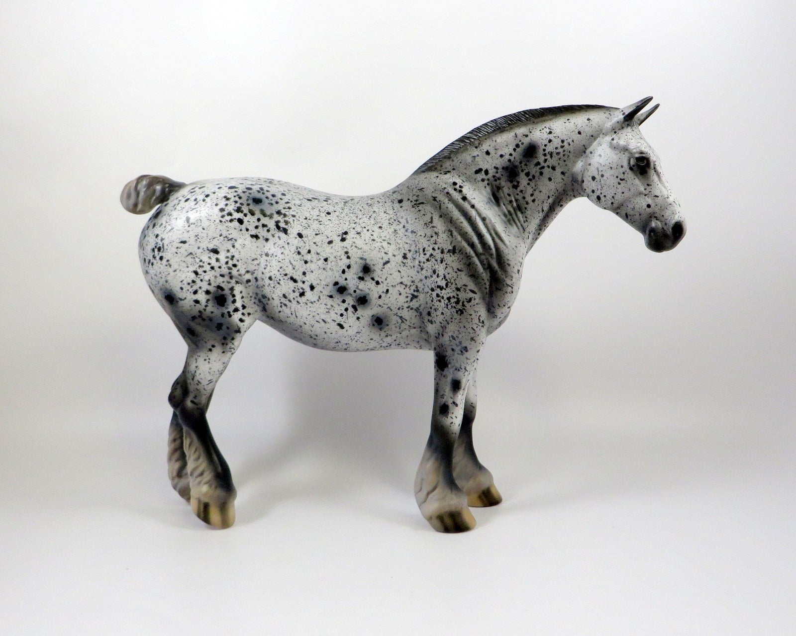 WILMA-OOAK BLACK APPALOOSA HEAVY DRAFT MODEL HORSE 8/6/19