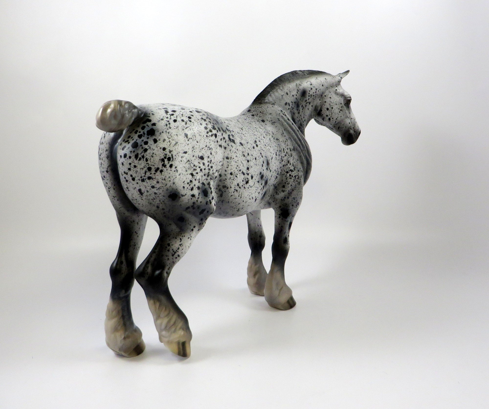 WILMA-OOAK BLACK APPALOOSA HEAVY DRAFT MODEL HORSE 8/6/19