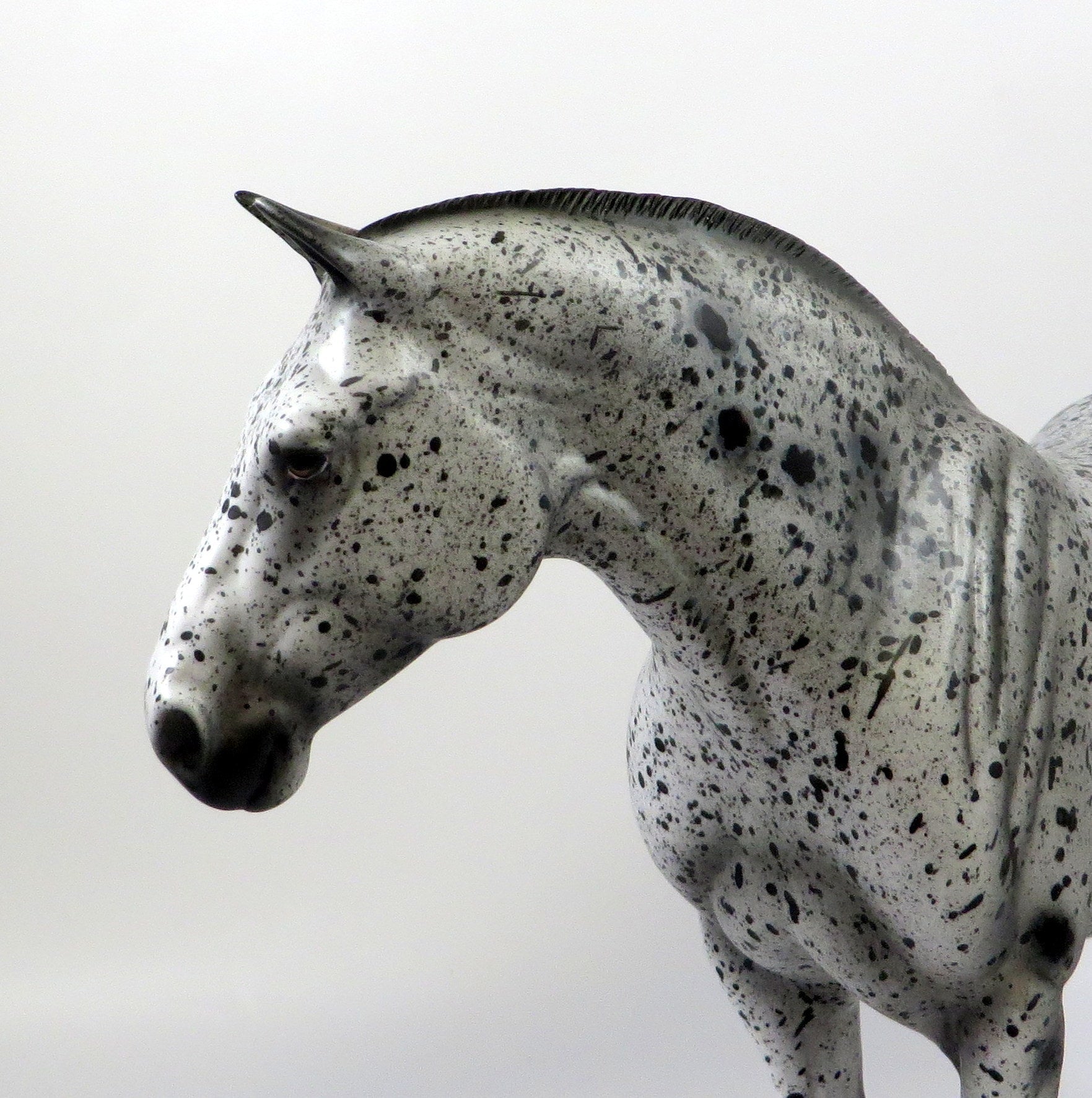 WILMA-OOAK BLACK APPALOOSA HEAVY DRAFT MODEL HORSE 8/6/19