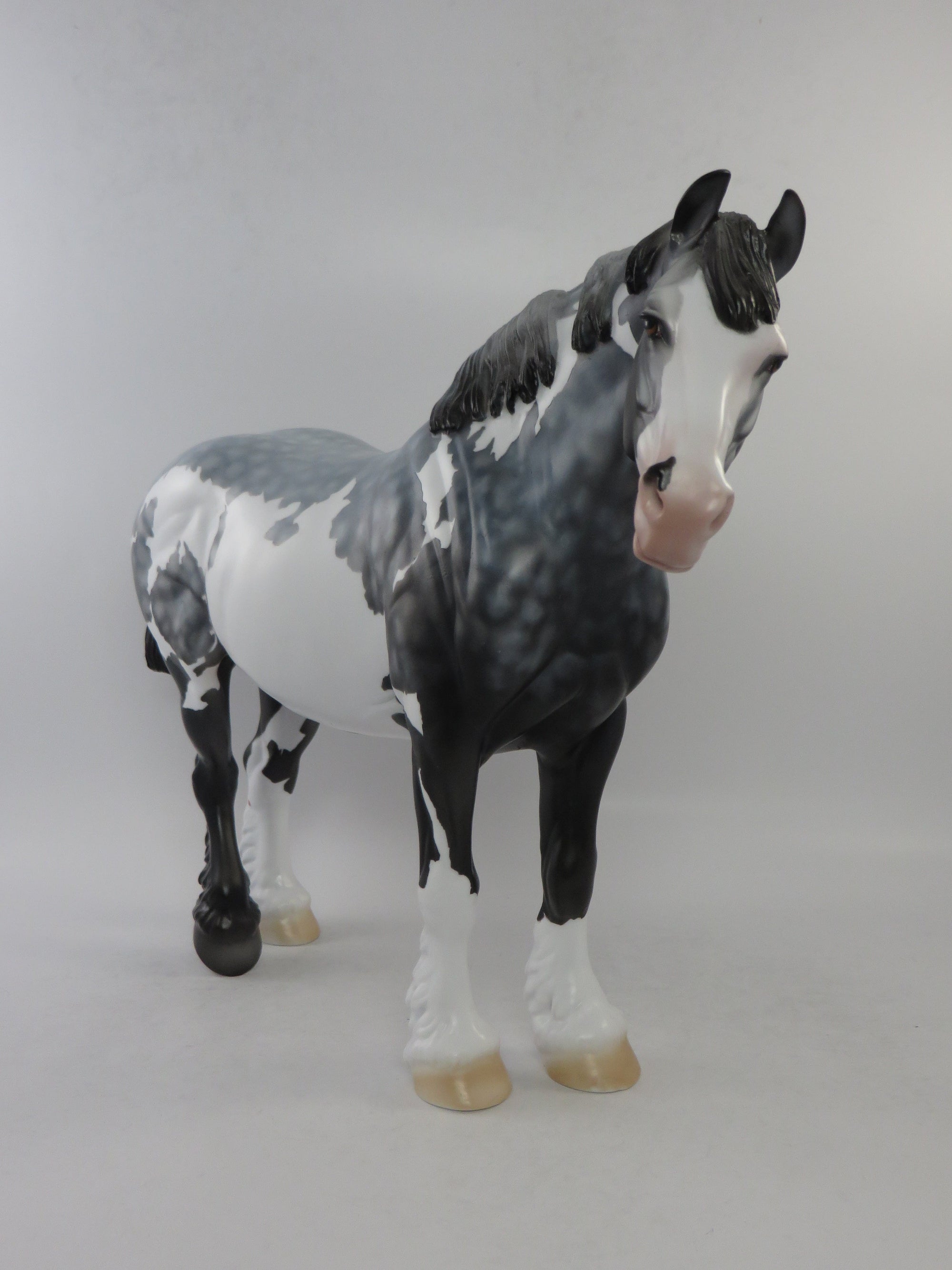 DARA - OOAK STAR DAPPLE GREY OVERO HEAVY DRAFT BUNNY MODEL HORSE BY DAWN QUICK EQ 2018