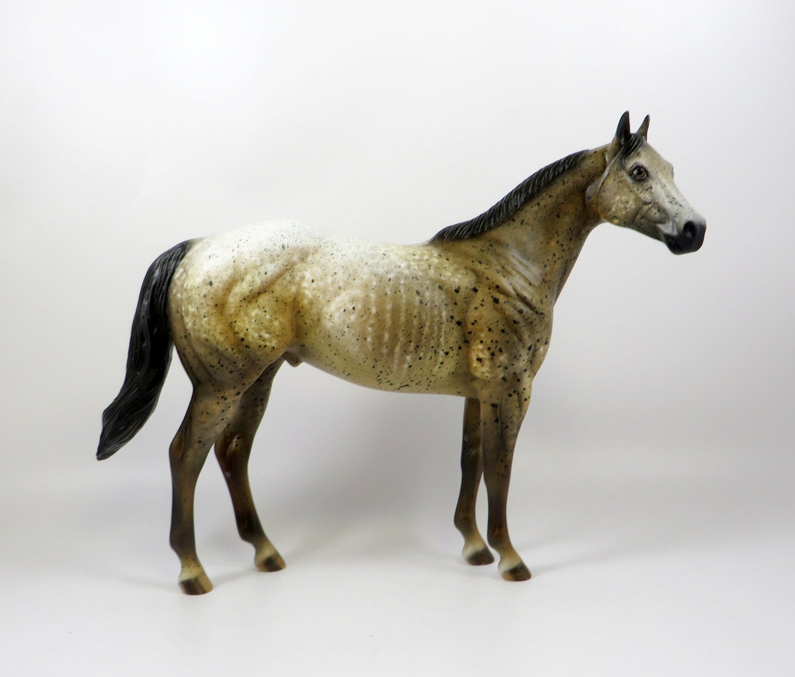 SANTOS-OOAK BROWN APPALOOSA ISH MODEL HORSE 8/6/19