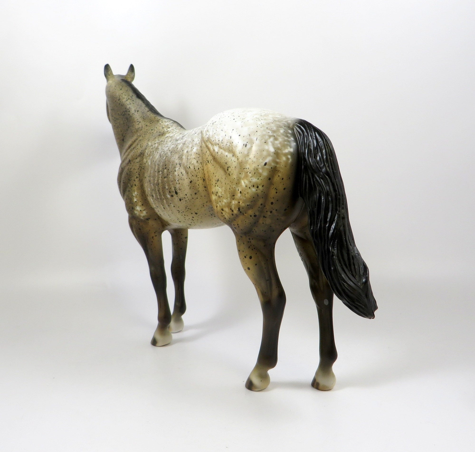 SANTOS-OOAK BROWN APPALOOSA ISH MODEL HORSE 8/6/19