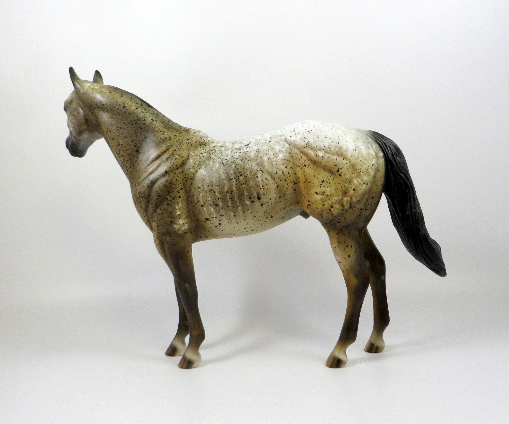SANTOS-OOAK BROWN APPALOOSA ISH MODEL HORSE 8/6/19
