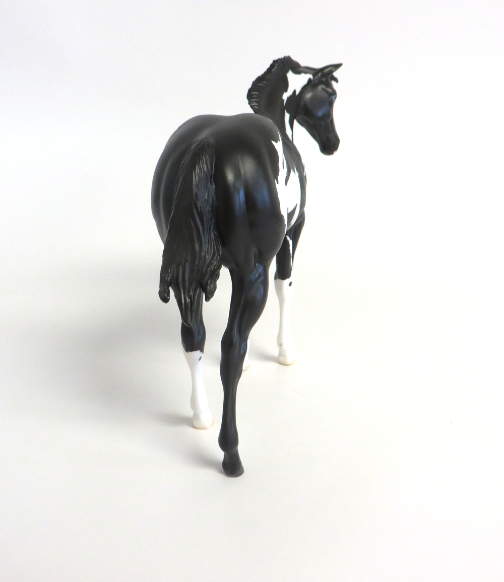 HOLLIE- LE-15 BLACK OVERO WEANLING CUSTOM BY DAWN QUICK EA19 AN  MW19