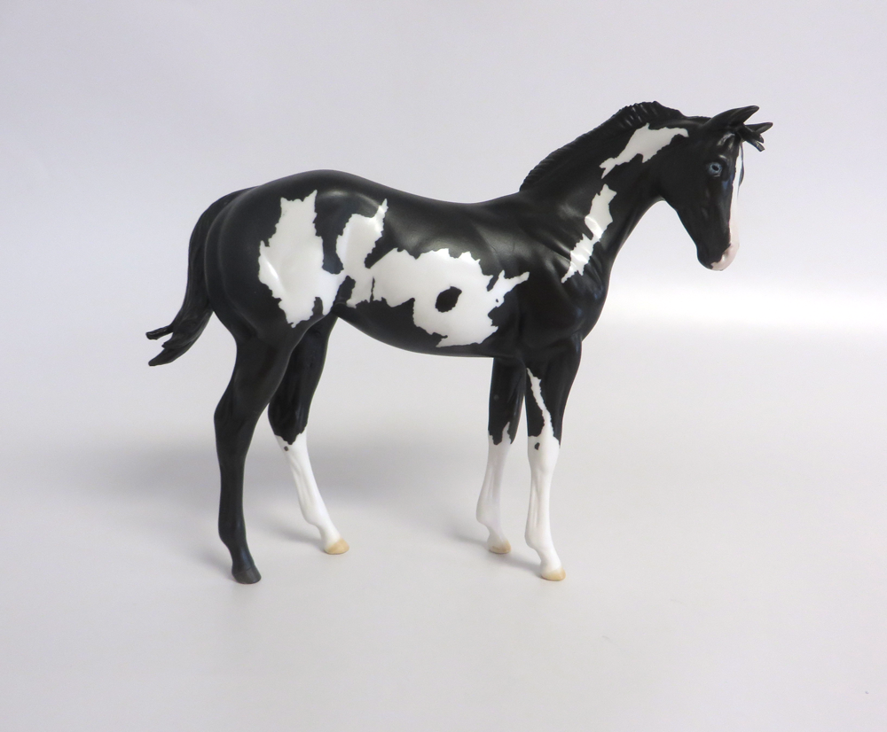 HOLLIE- LE-15 BLACK OVERO WEANLING CUSTOM BY DAWN QUICK EA19 AN  MW19