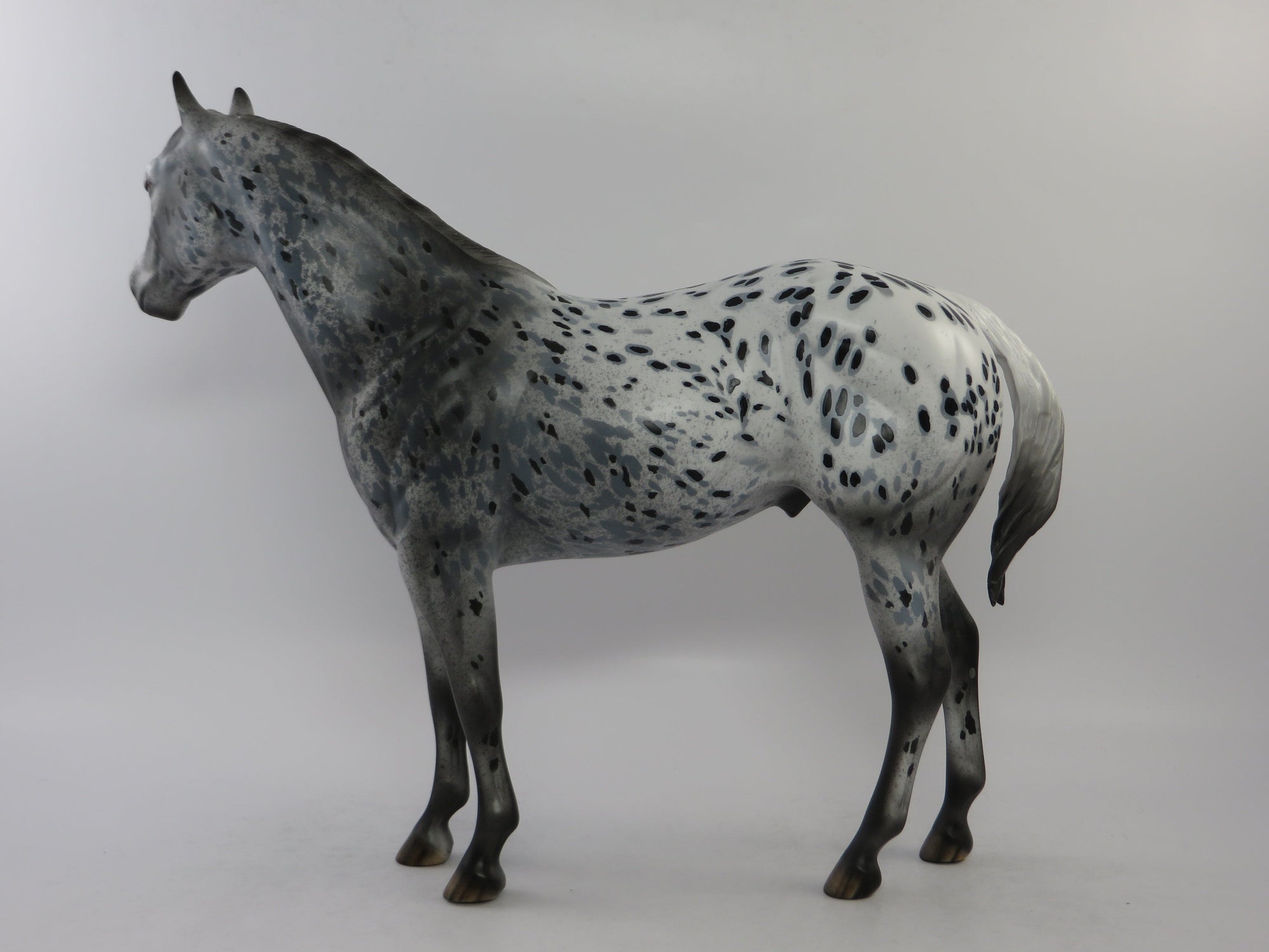 CODY - OOAK BLACK APPALOOSA ISH MODEL HORSE BY DAWN QUICK EQ 2018