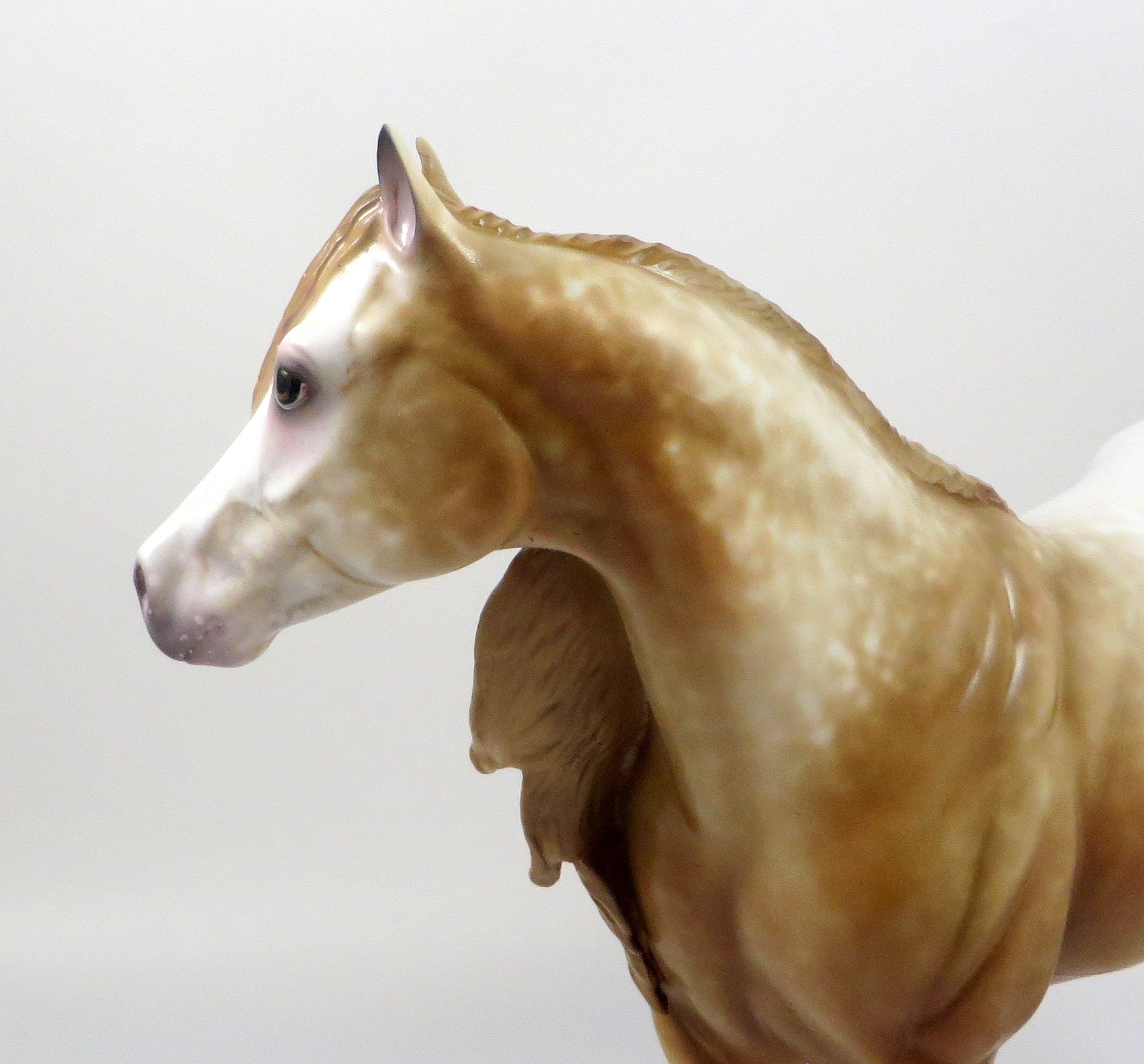 NATIQUA-OOAK CHESTNUT ROAN ISH MODEL HORSE 8/6/19