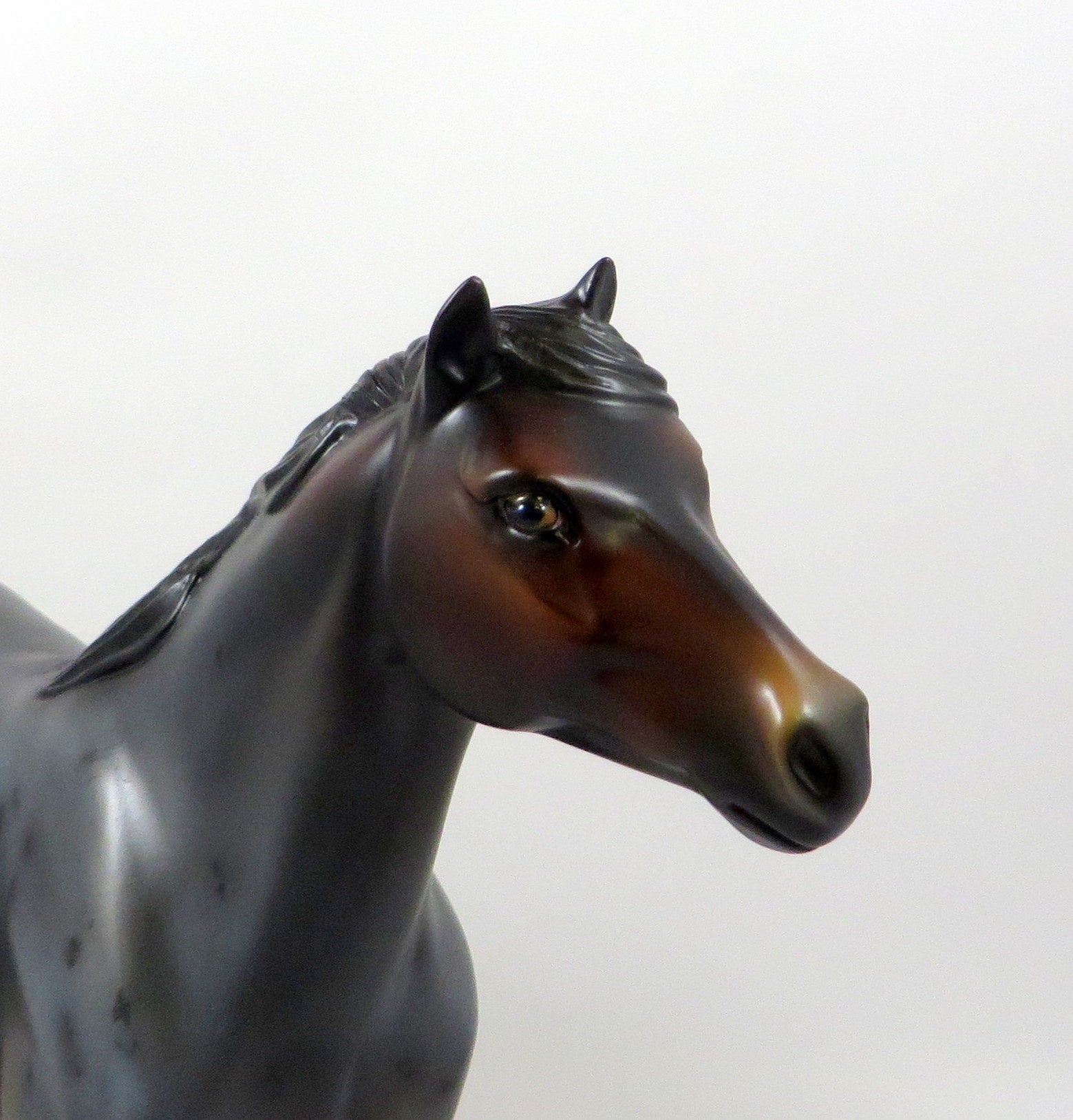 GAIETY-OOAK BAY ROAN SPANISH MUSTANG MODEL HORSE 8/6/19