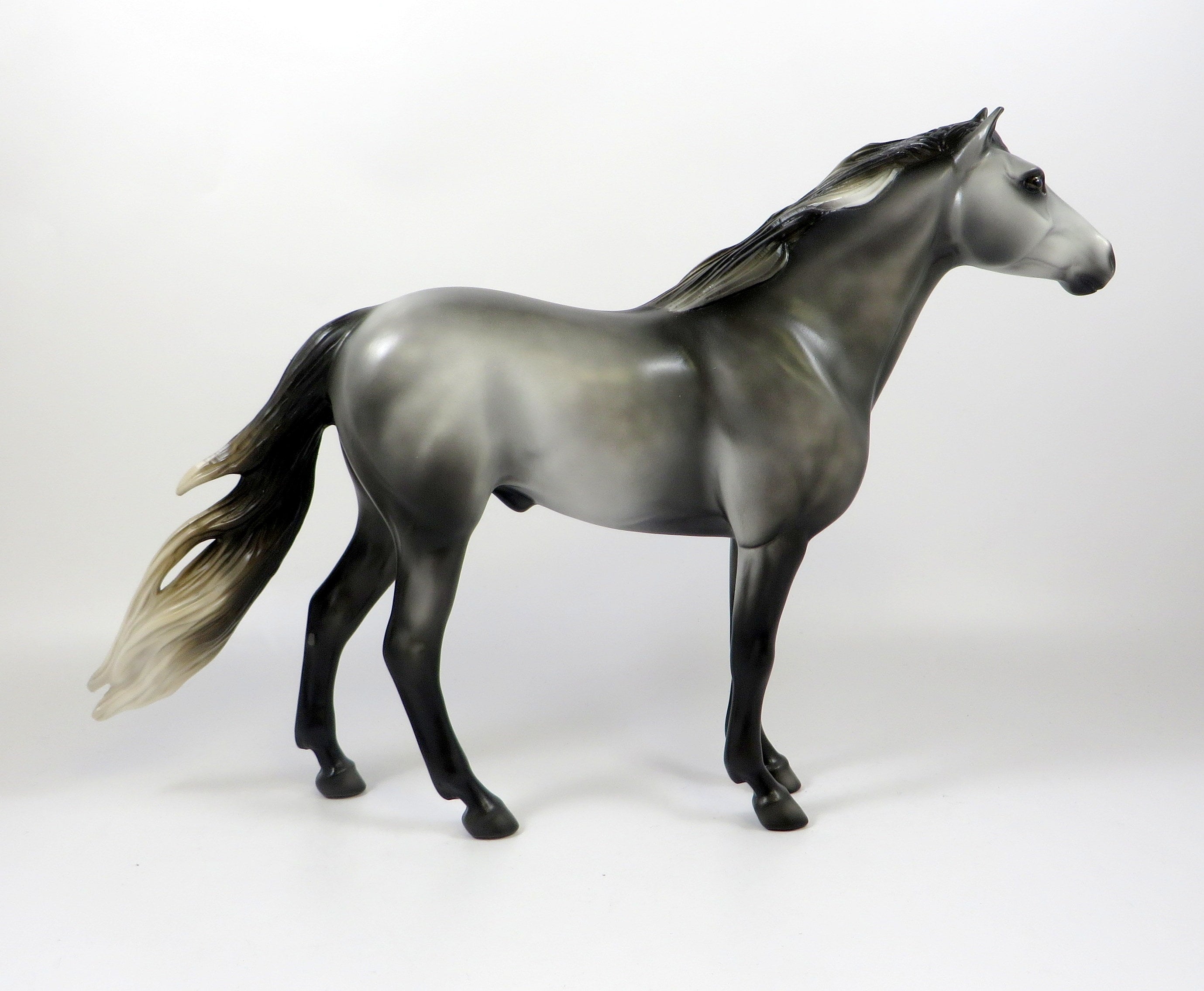 dark grey horse