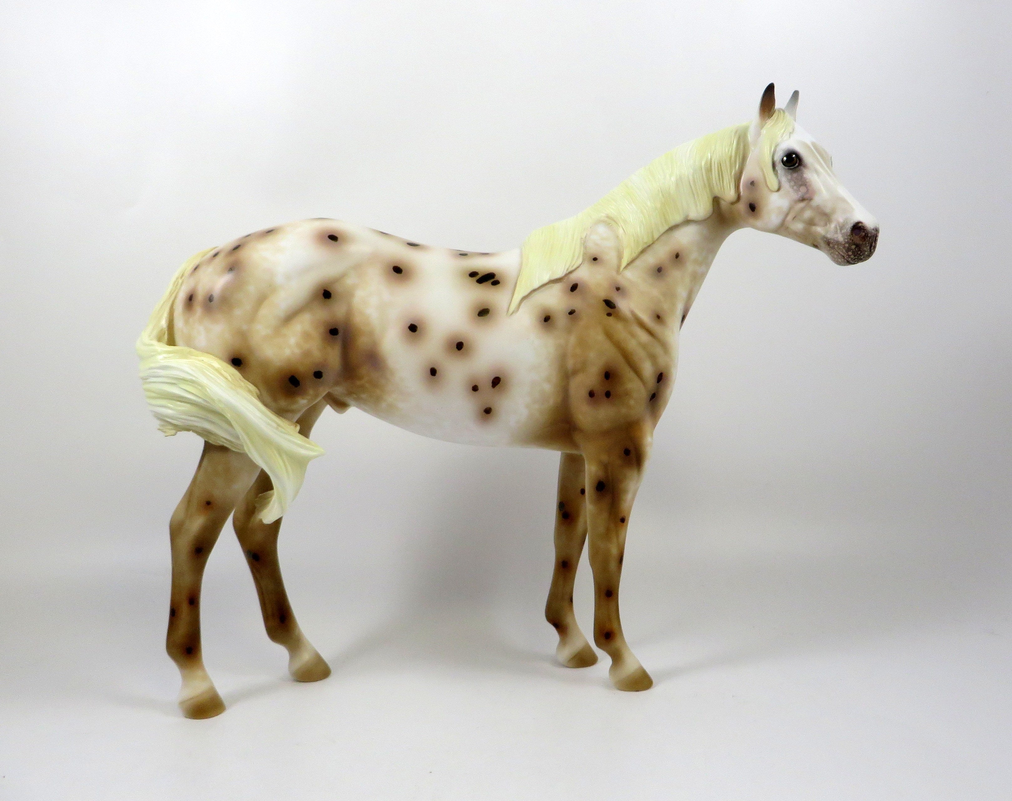 Appaloosa Horses and Leopard Horses