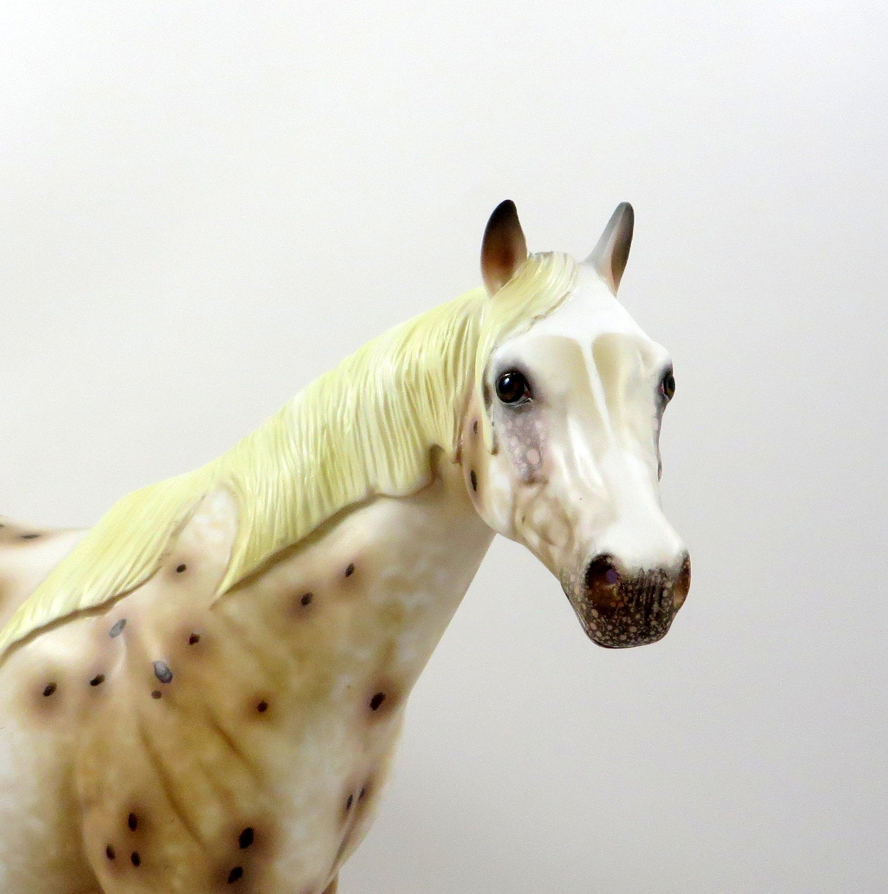 FREEZEE-OOAK CHESTNUT LEOPARD APPALOOSA ISH MODEL HORSE 8/6/19