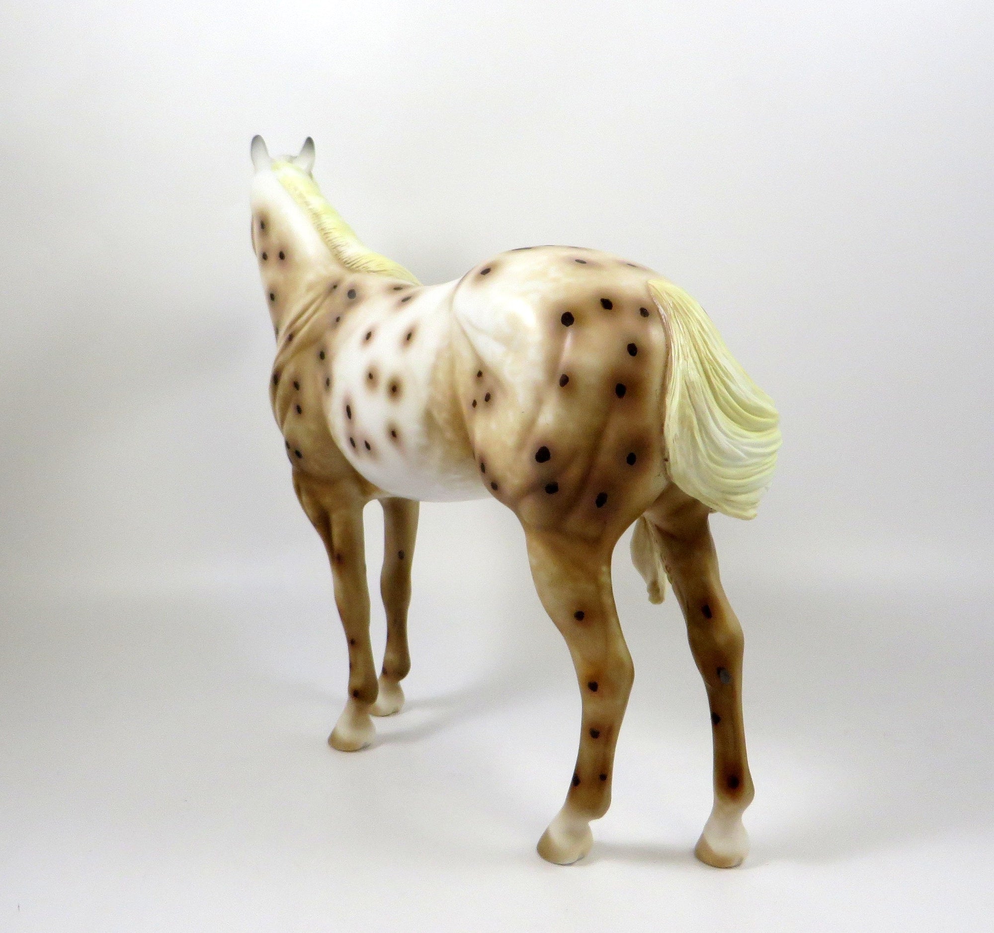 FREEZEE-OOAK CHESTNUT LEOPARD APPALOOSA ISH MODEL HORSE 8/6/19