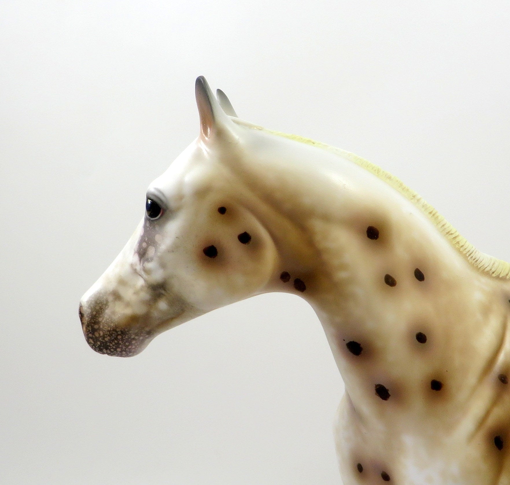 FREEZEE-OOAK CHESTNUT LEOPARD APPALOOSA ISH MODEL HORSE 8/6/19