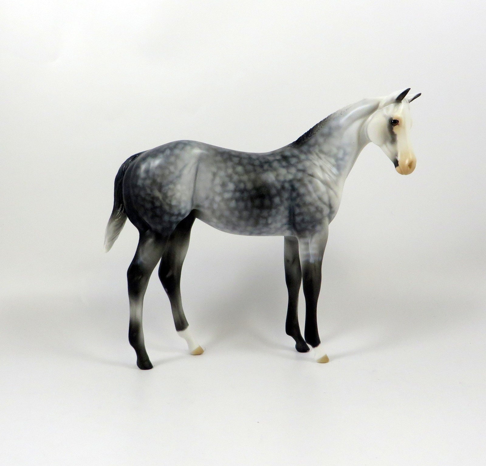 PIPPI-OOAK STAR DAPPLE GREY WEANLING MODEL HORSE 8/6/19