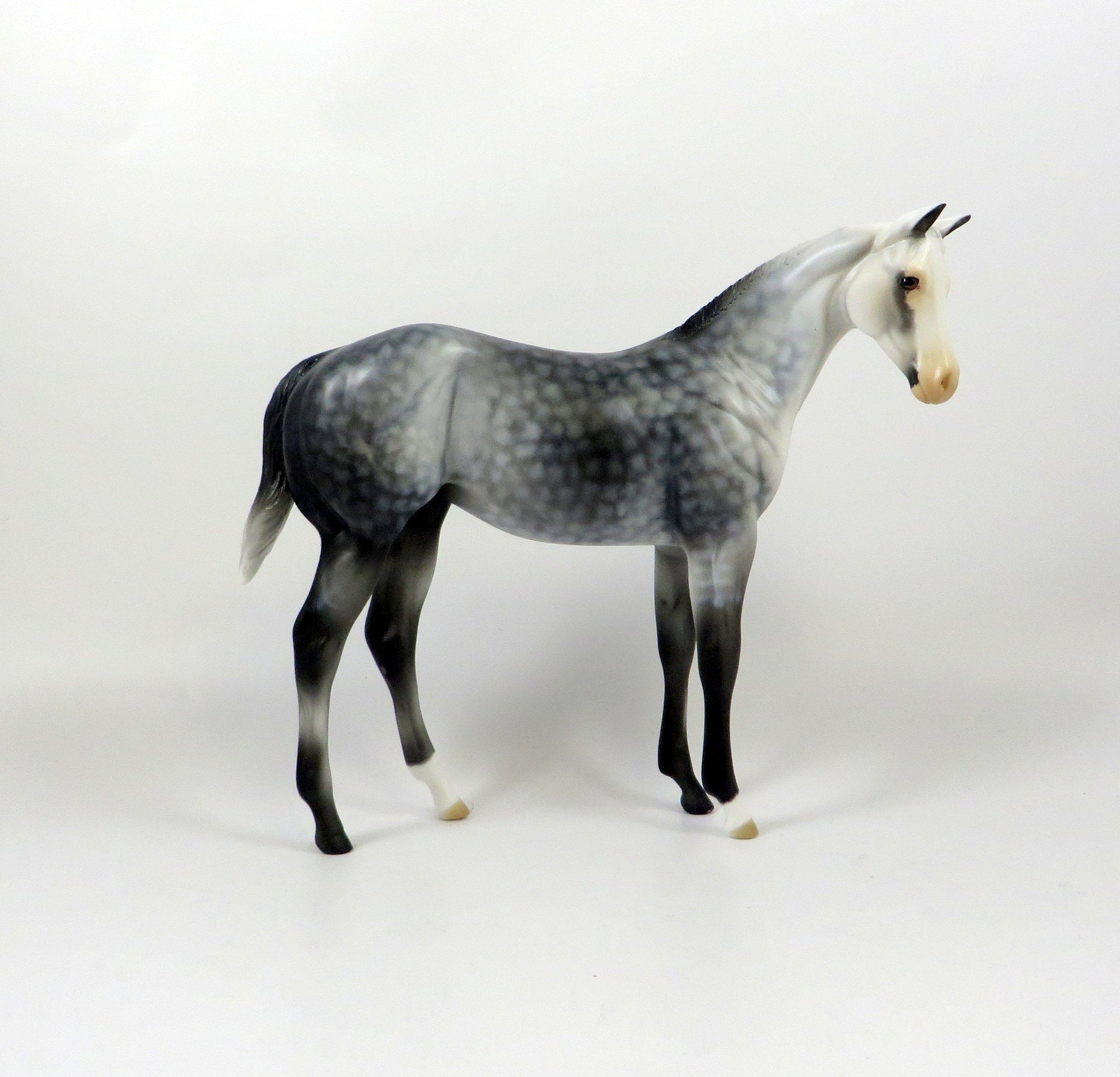 PIPPI-OOAK STAR DAPPLE GREY WEANLING MODEL HORSE 8/6/19