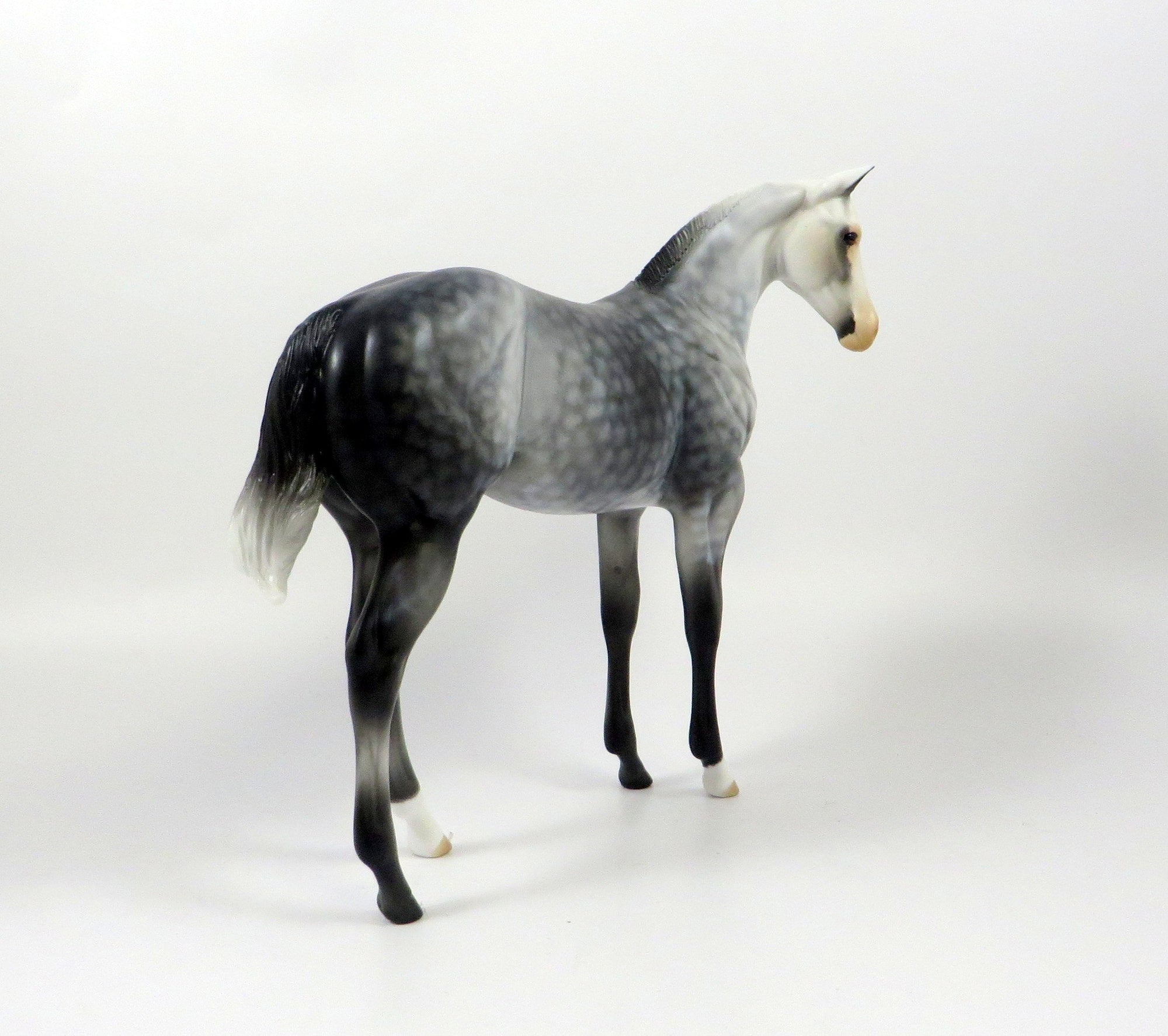 PIPPI-OOAK STAR DAPPLE GREY WEANLING MODEL HORSE 8/6/19