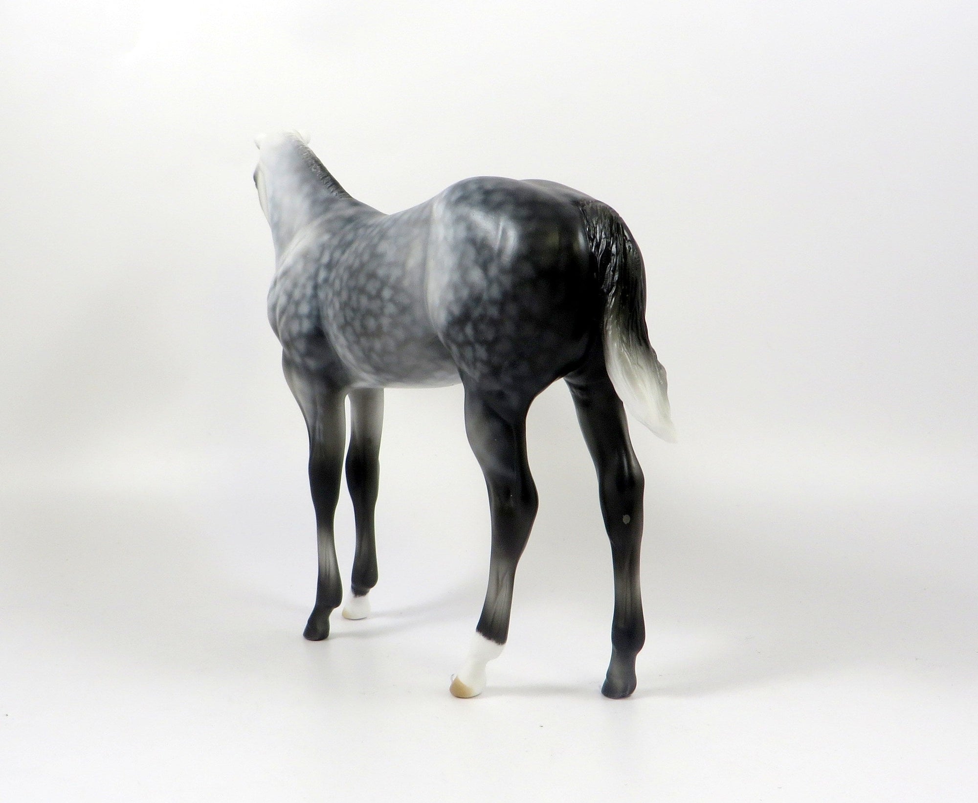 PIPPI-OOAK STAR DAPPLE GREY WEANLING MODEL HORSE 8/6/19
