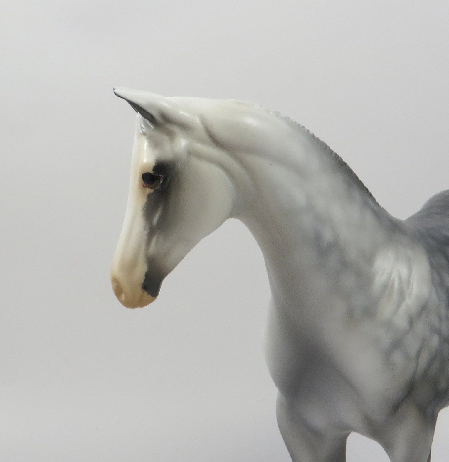 PIPPI-OOAK STAR DAPPLE GREY WEANLING MODEL HORSE 8/6/19