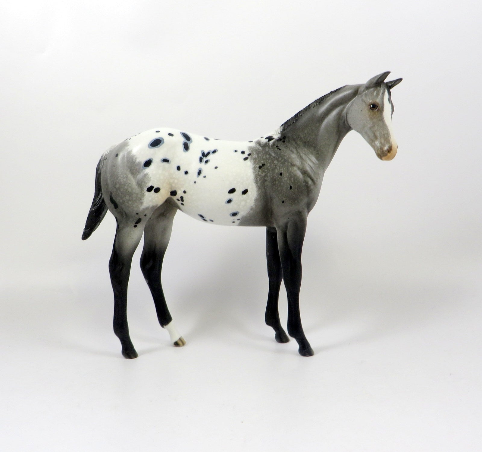 LONG LOST-OOAK GREY APPALOOSA WEANLING MODEL HORSE 8/6/19