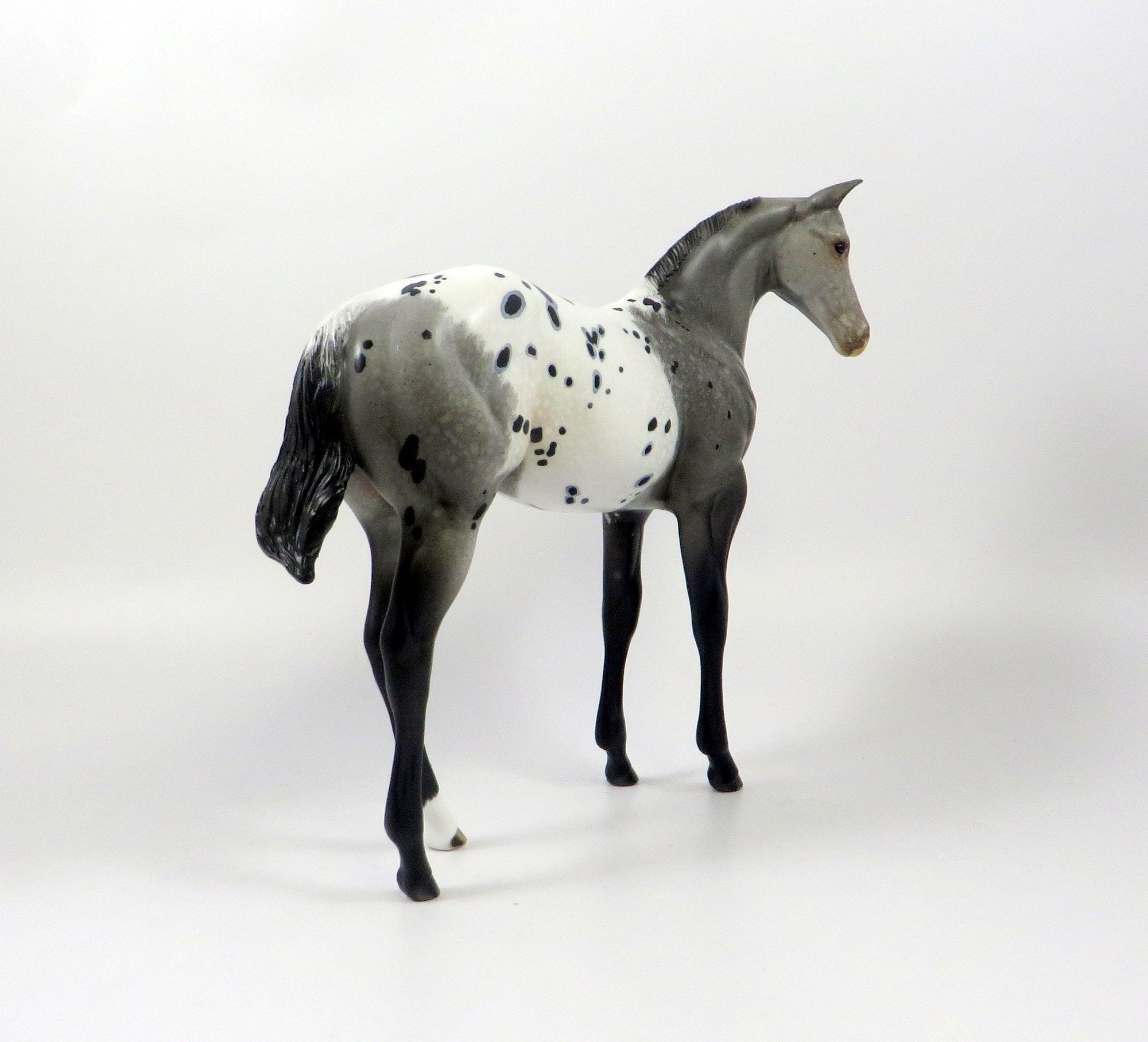 LONG LOST-OOAK GREY APPALOOSA WEANLING MODEL HORSE 8/6/19
