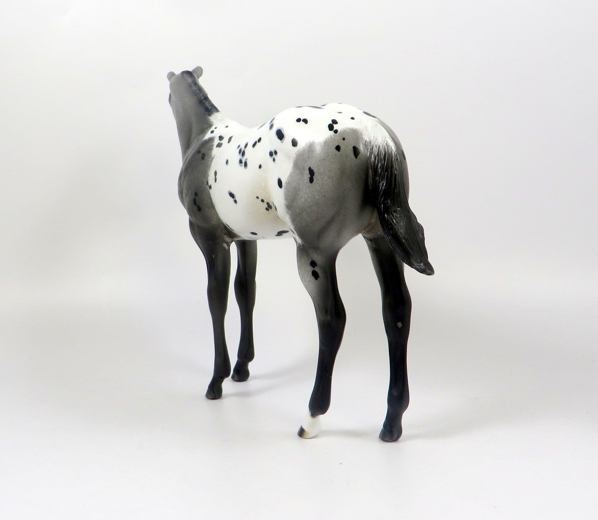 LONG LOST-OOAK GREY APPALOOSA WEANLING MODEL HORSE 8/6/19