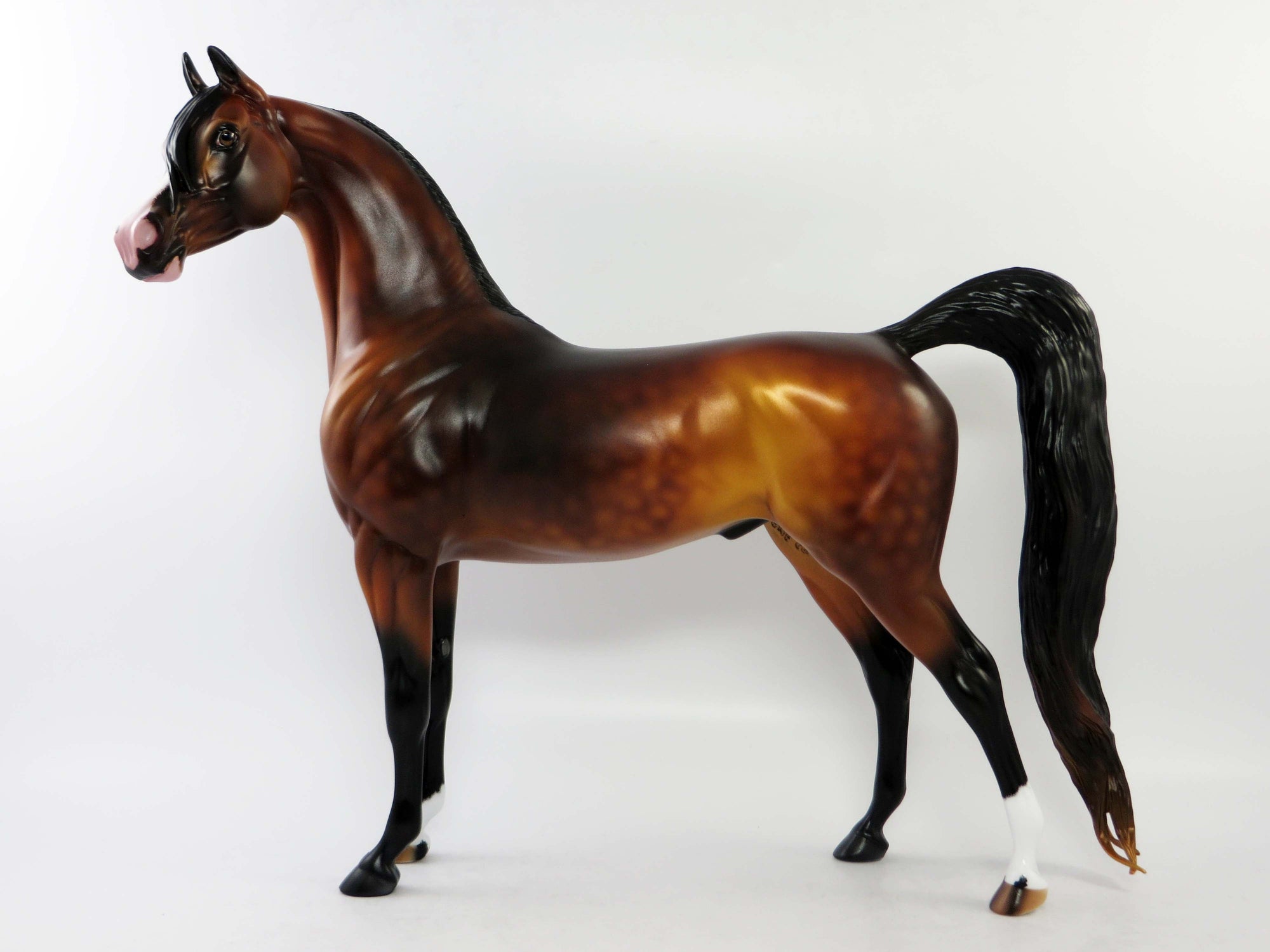MICHAEL - OOAK DAPPLE BAY ARABIAN MODEL HORSE EQ 2018