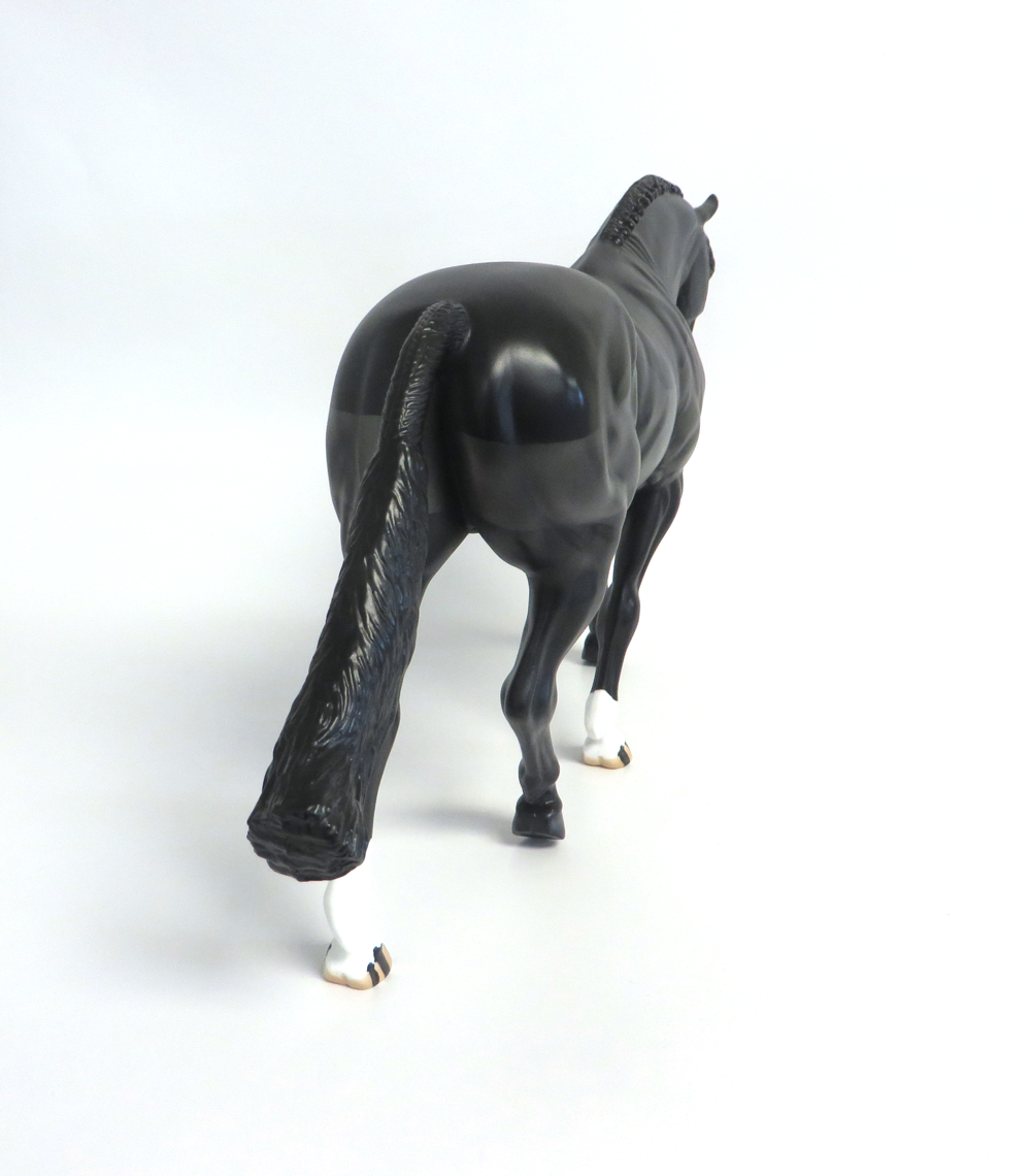 JUPITER - LE-15  BLACK BODY CLIPPED IRISH DRAFT BY AUDREY DIXON EA19 MW19