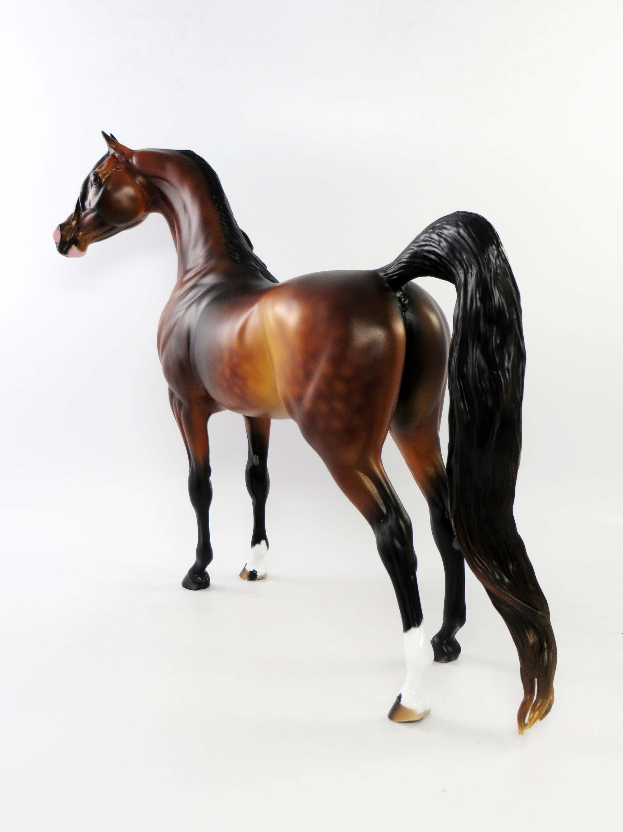MICHAEL - OOAK DAPPLE BAY ARABIAN MODEL HORSE EQ 2018
