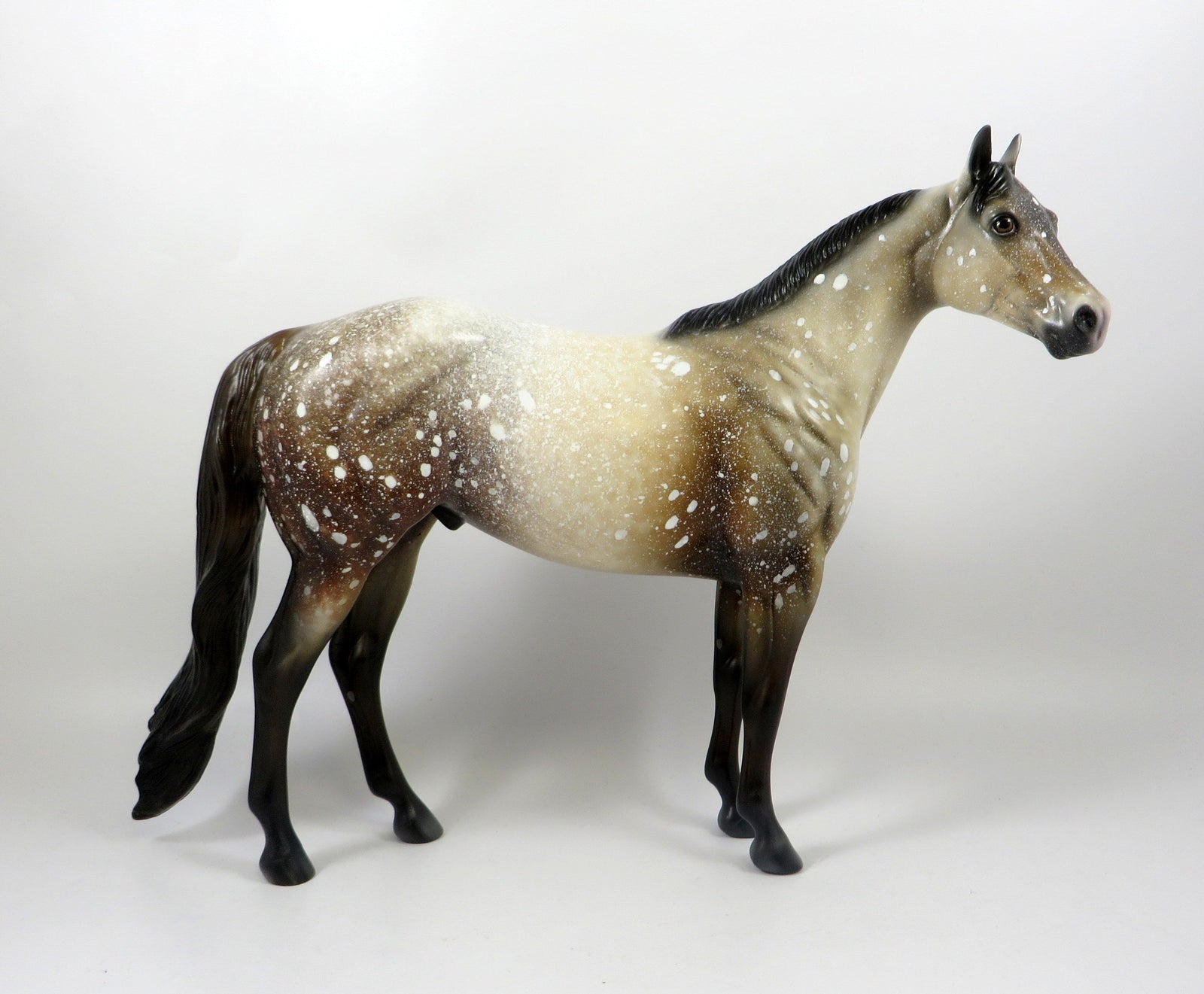 TELL ME A FABLE-OOAK CHESTNUT APPALOOSA ISH MODEL HORSE 8/6/19