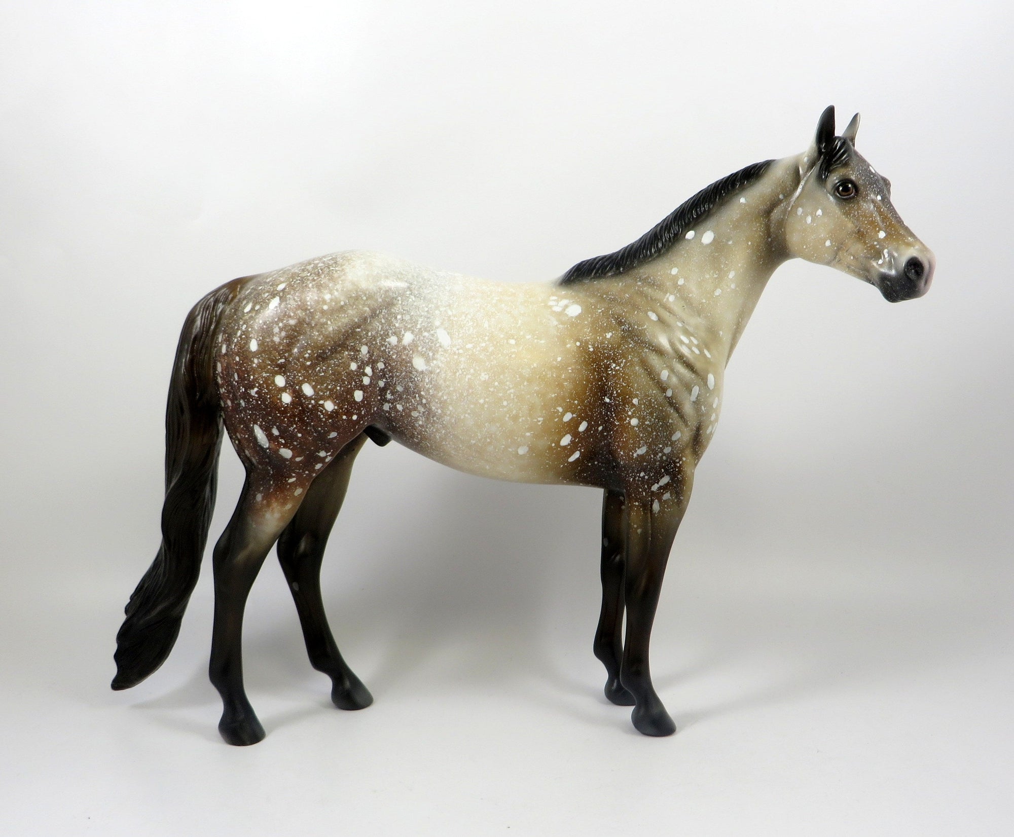 TELL ME A FABLE-OOAK CHESTNUT APPALOOSA ISH MODEL HORSE 8/6/19