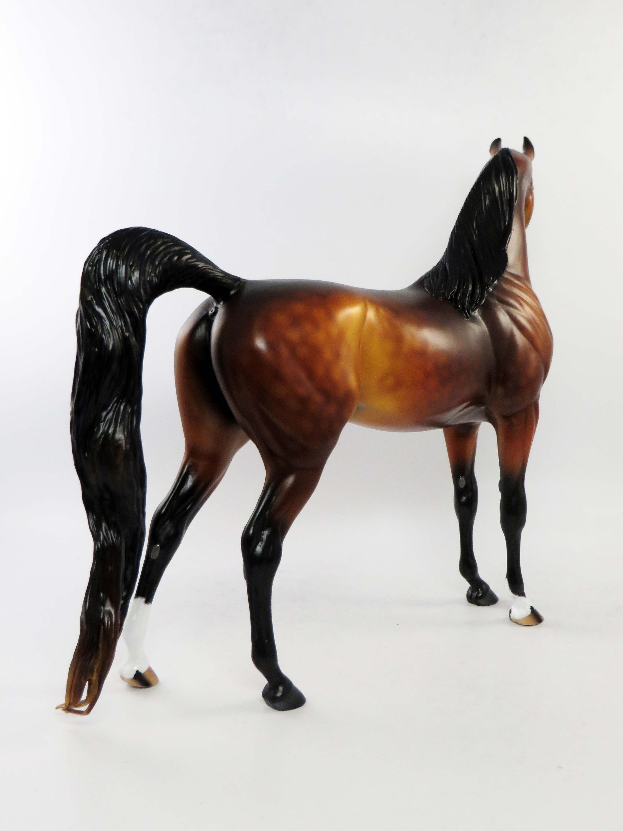 MICHAEL - OOAK DAPPLE BAY ARABIAN MODEL HORSE EQ 2018
