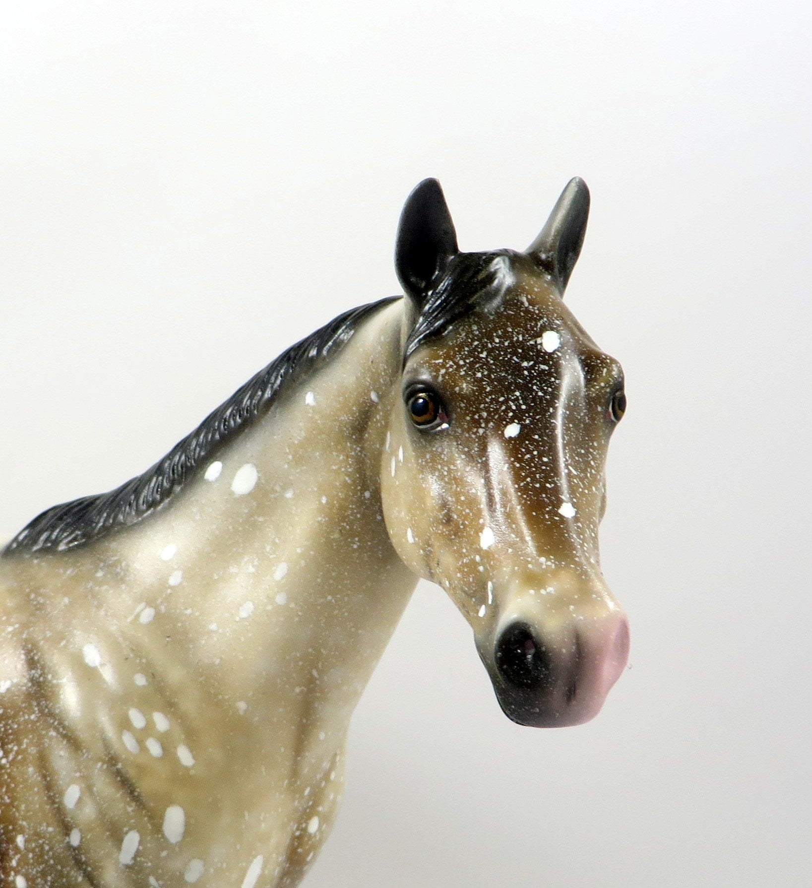 TELL ME A FABLE-OOAK CHESTNUT APPALOOSA ISH MODEL HORSE 8/6/19