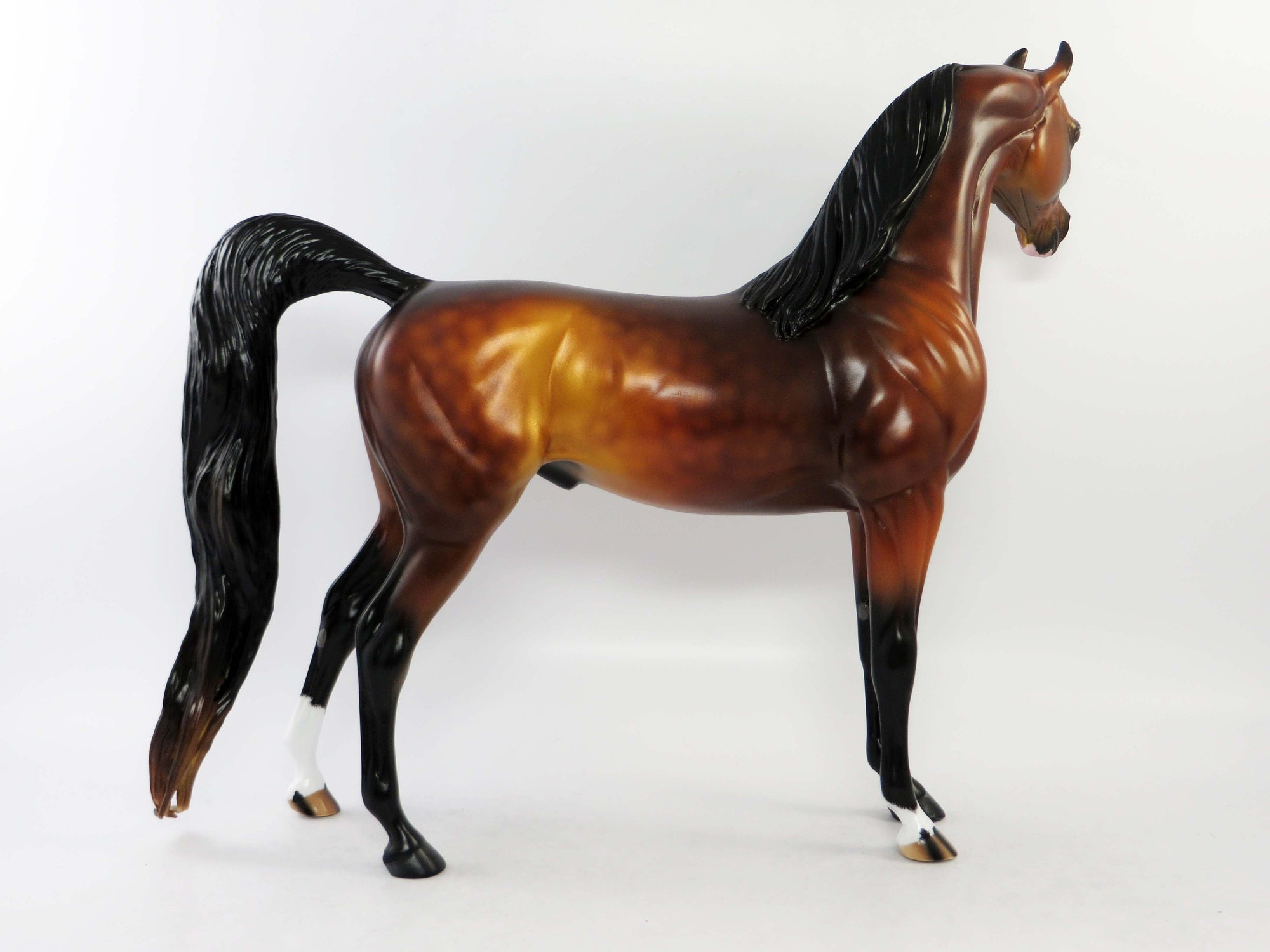 MICHAEL - OOAK DAPPLE BAY ARABIAN MODEL HORSE EQ 2018