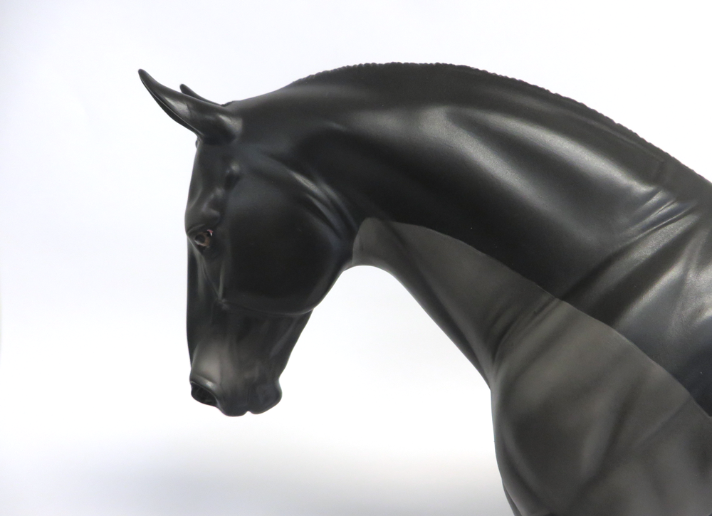 JUPITER - LE-15  BLACK BODY CLIPPED IRISH DRAFT BY AUDREY DIXON EA19 MW19