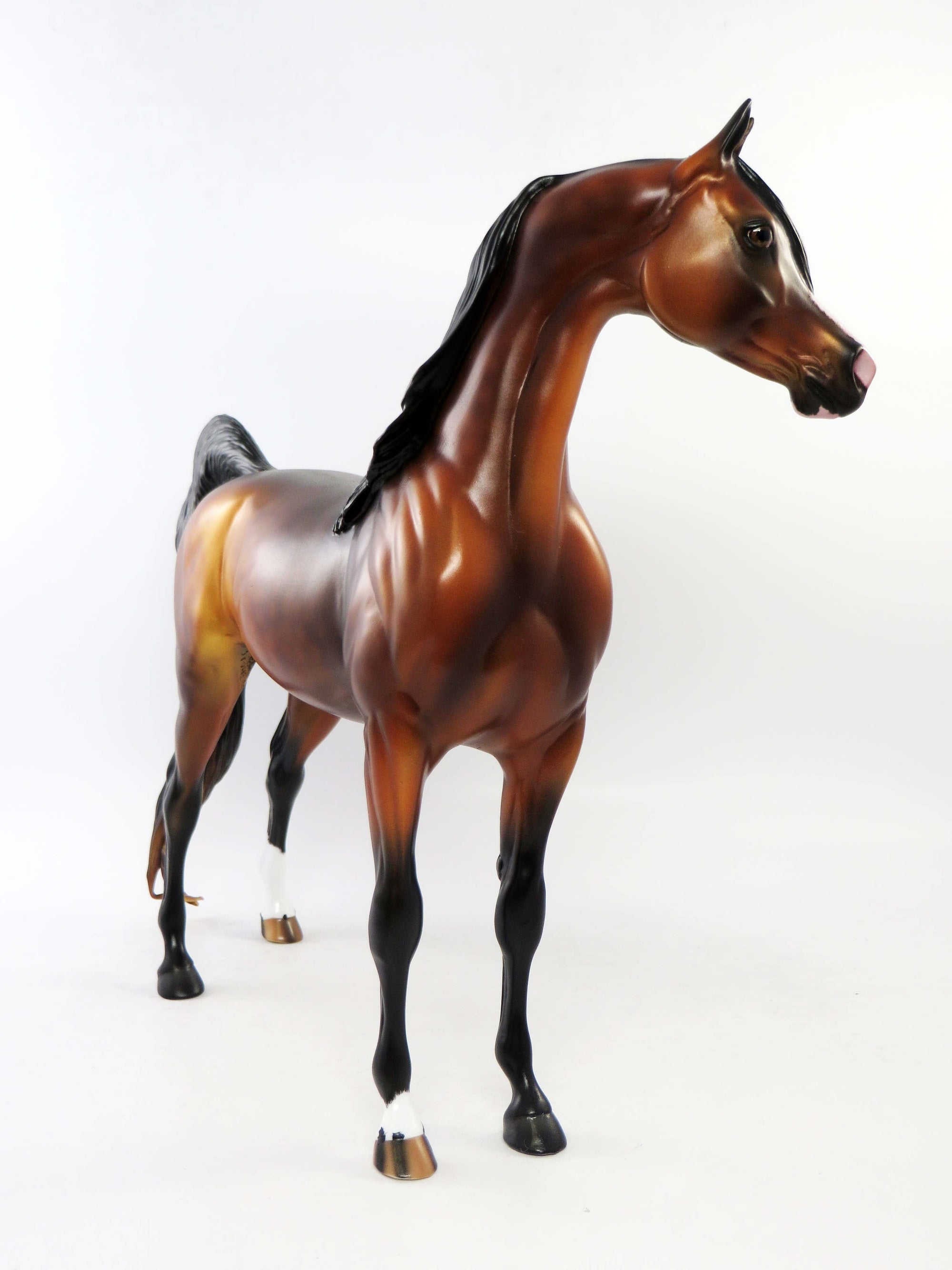 MICHAEL - OOAK DAPPLE BAY ARABIAN MODEL HORSE EQ 2018