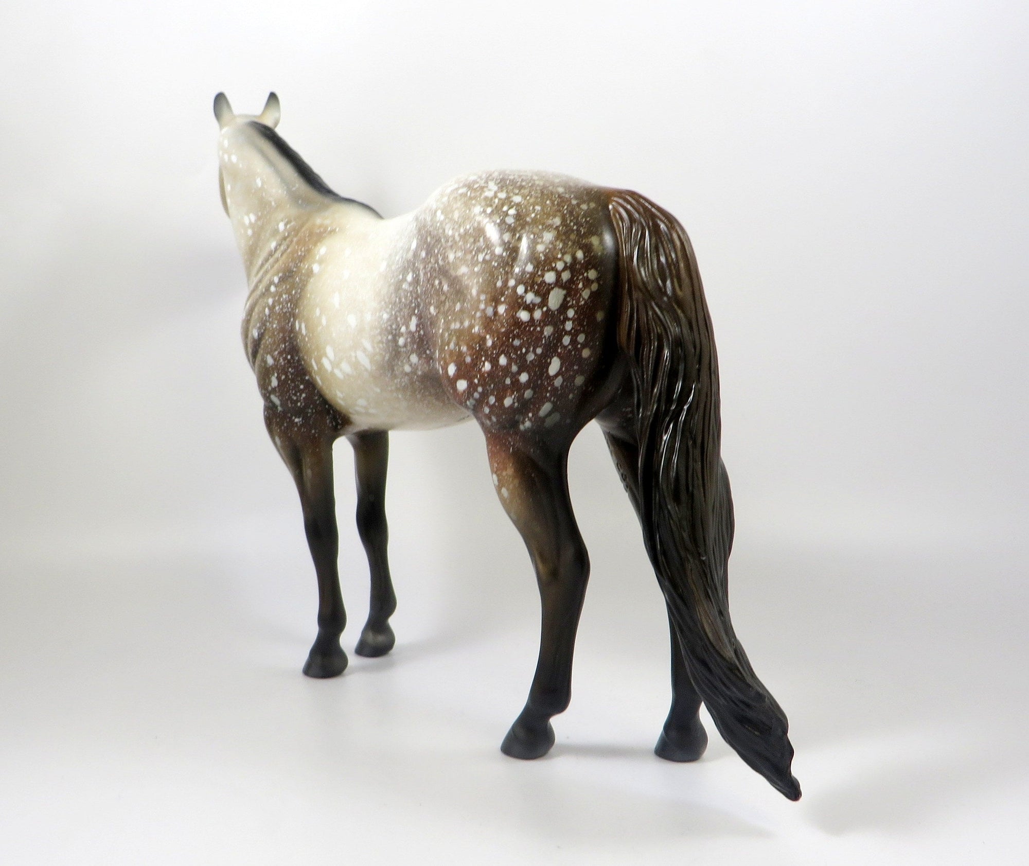 TELL ME A FABLE-OOAK CHESTNUT APPALOOSA ISH MODEL HORSE 8/6/19