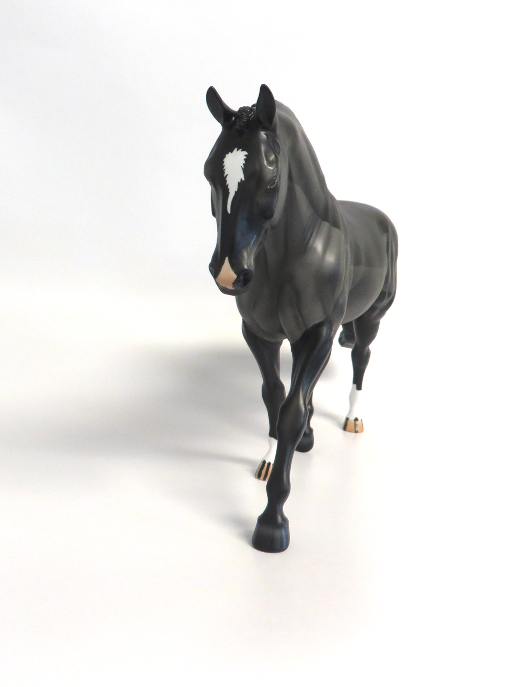 JUPITER - LE-15  BLACK BODY CLIPPED IRISH DRAFT BY AUDREY DIXON EA19 MW19