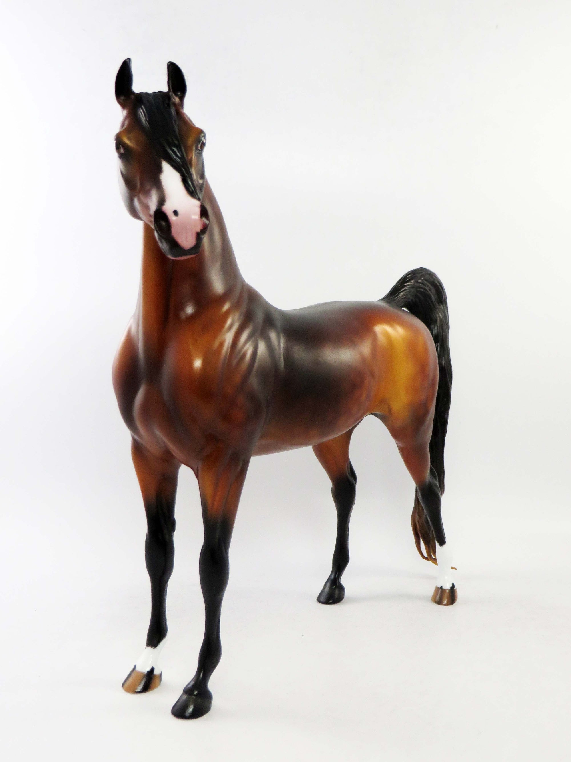 MICHAEL - OOAK DAPPLE BAY ARABIAN MODEL HORSE EQ 2018
