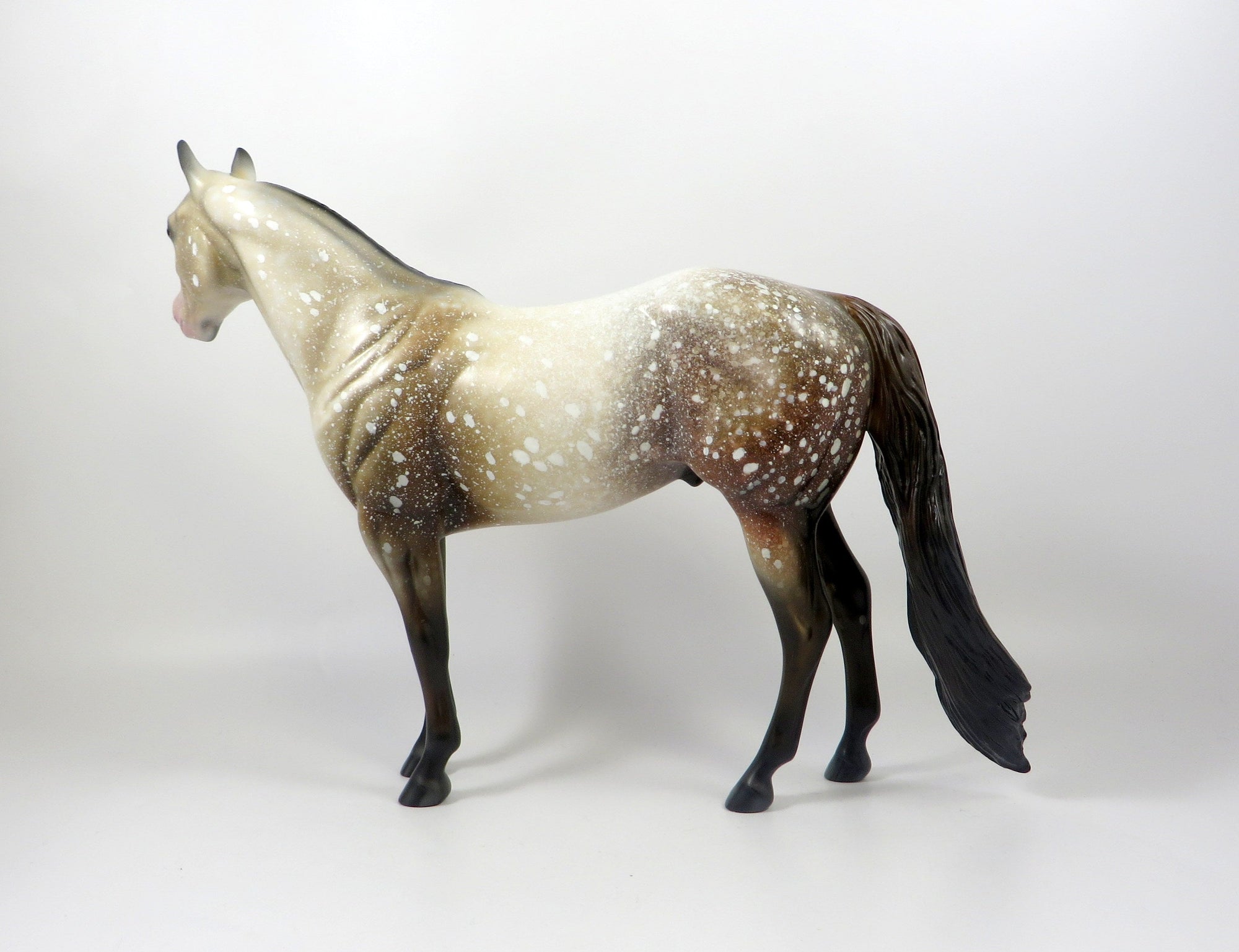 TELL ME A FABLE-OOAK CHESTNUT APPALOOSA ISH MODEL HORSE 8/6/19