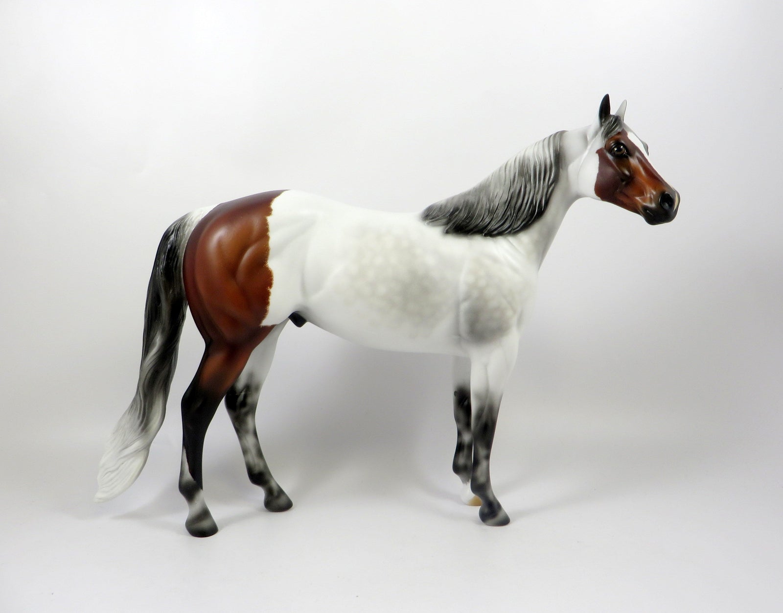 HONEST BROKER-OOAK DAPPLE GREY ISH WITH BLOODY "HIP" MODEL HORSE 8/6/19