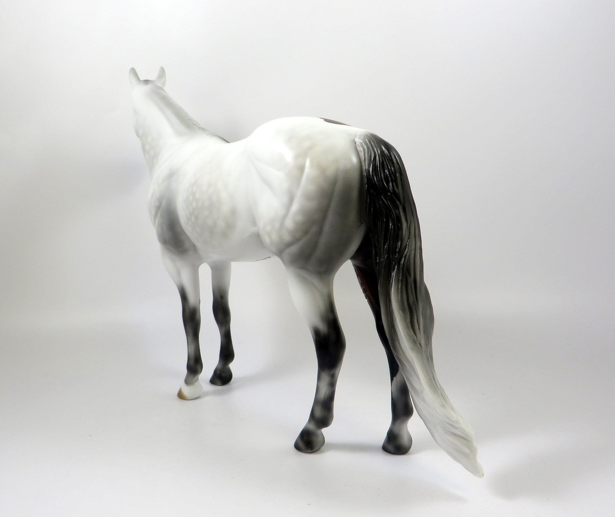 HONEST BROKER-OOAK DAPPLE GREY ISH WITH BLOODY &quot;HIP&quot; MODEL HORSE 8/6/19