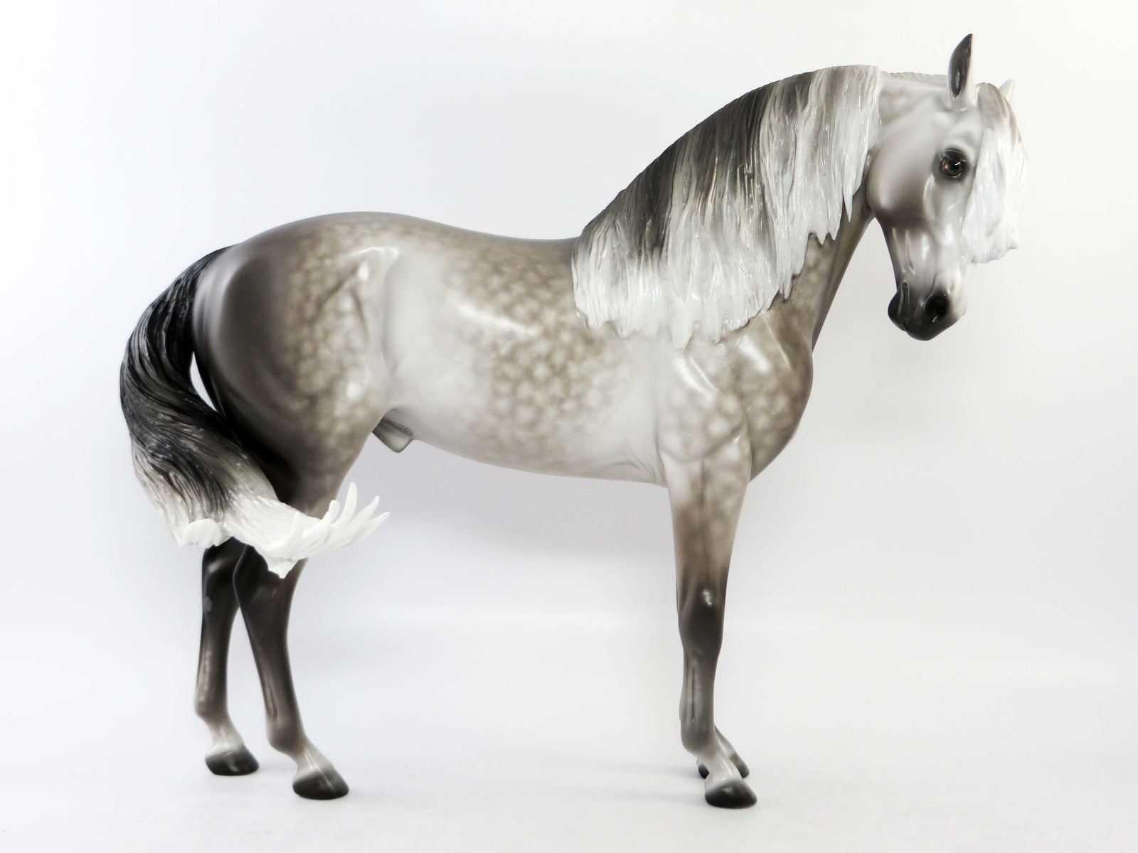 CORTLAND-OOAK STAR DAPPLE DARK GREY  ANDALUSIAN MODEL HORSE BY SHERYL LEISURE EQ 2018