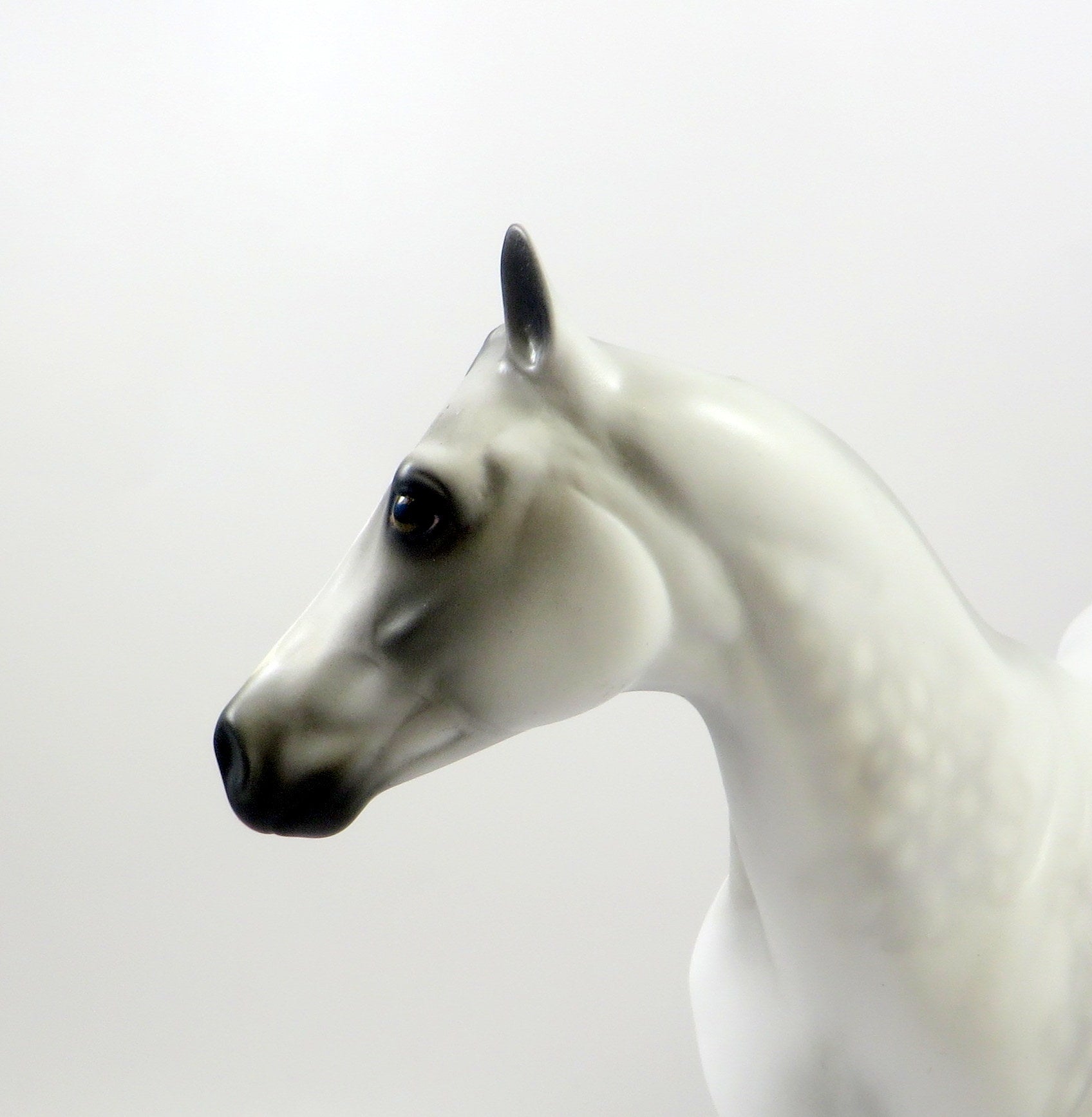 HONEST BROKER-OOAK DAPPLE GREY ISH WITH BLOODY &quot;HIP&quot; MODEL HORSE 8/6/19