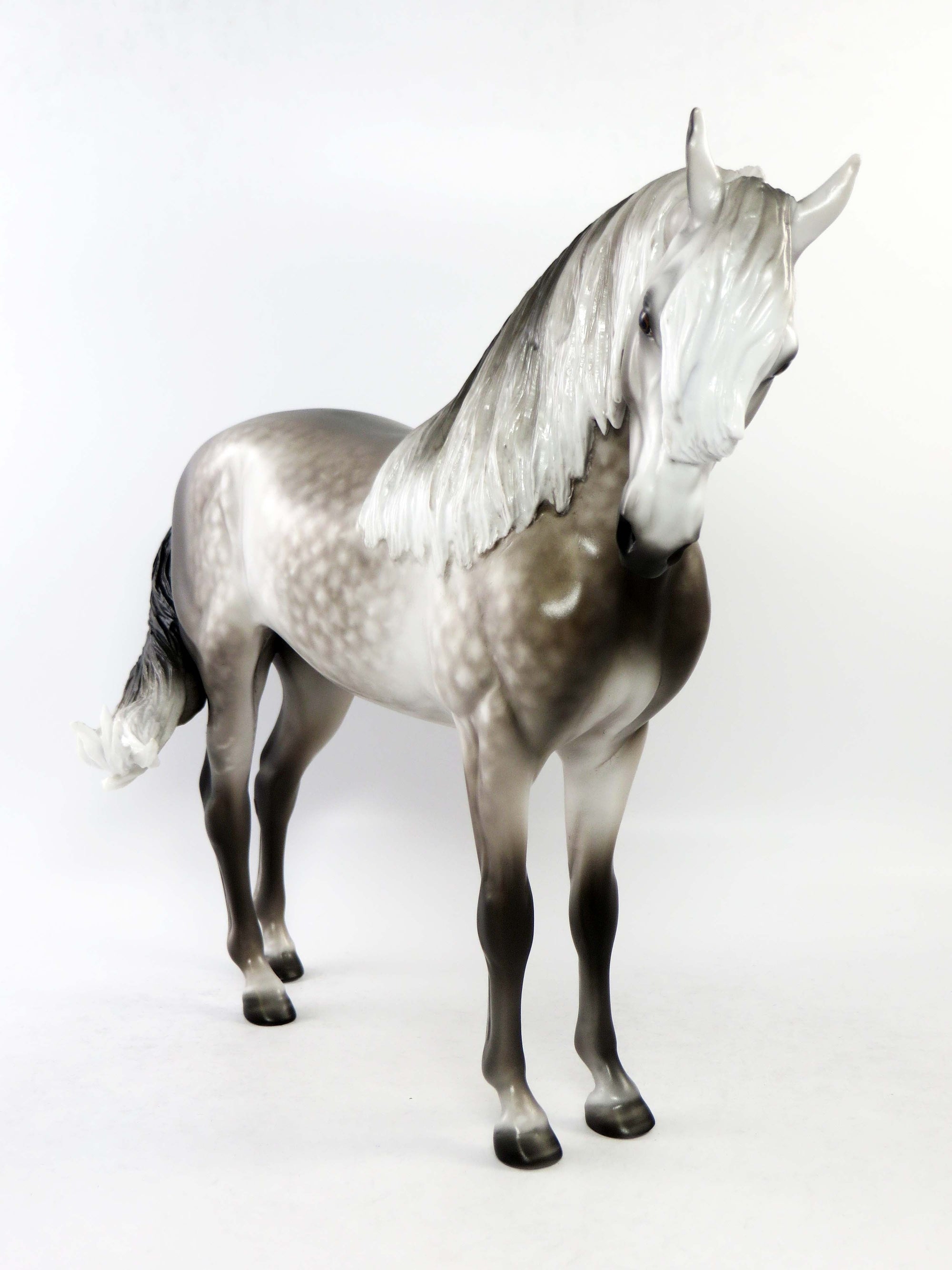 CORTLAND-OOAK STAR DAPPLE DARK GREY  ANDALUSIAN MODEL HORSE BY SHERYL LEISURE EQ 2018