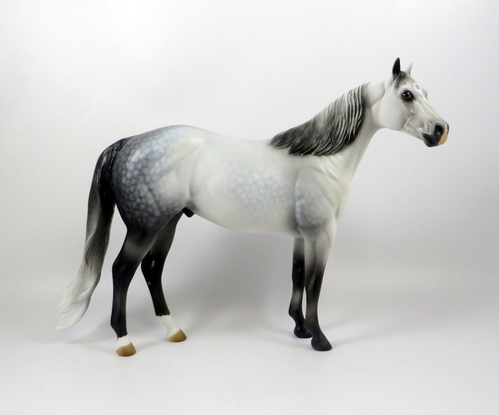 SCRATCH ME NOT-OOAK STAR DAPPLE GREY ISH MODEL HORSE 8/6/19