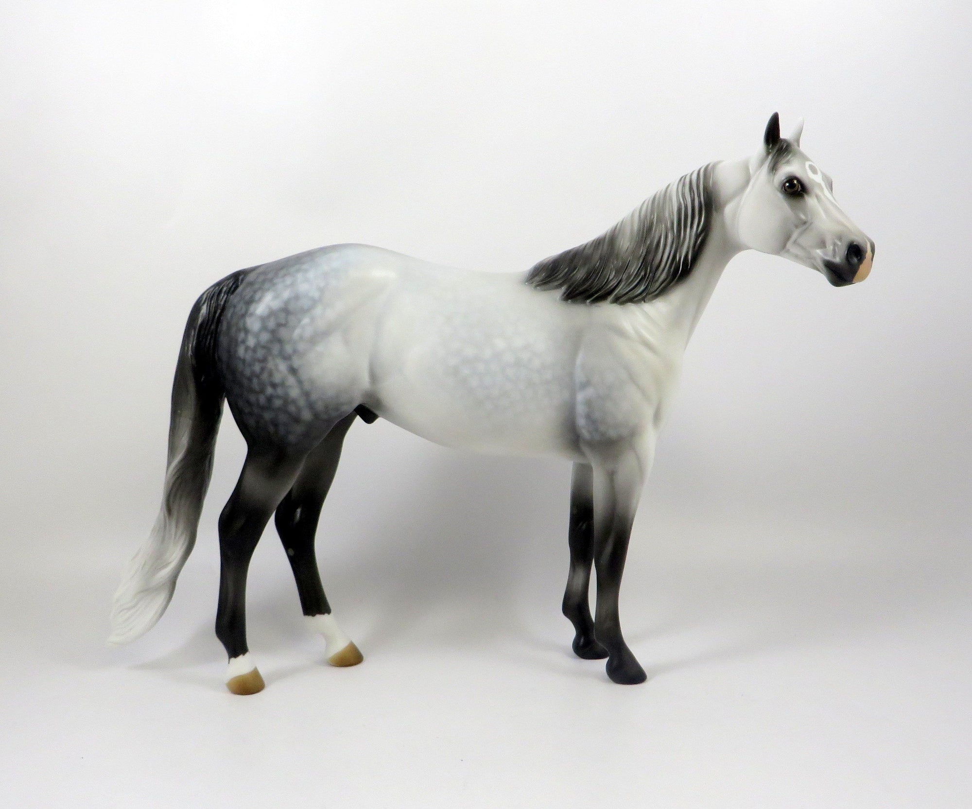 SCRATCH ME NOT-OOAK STAR DAPPLE GREY ISH MODEL HORSE 8/6/19