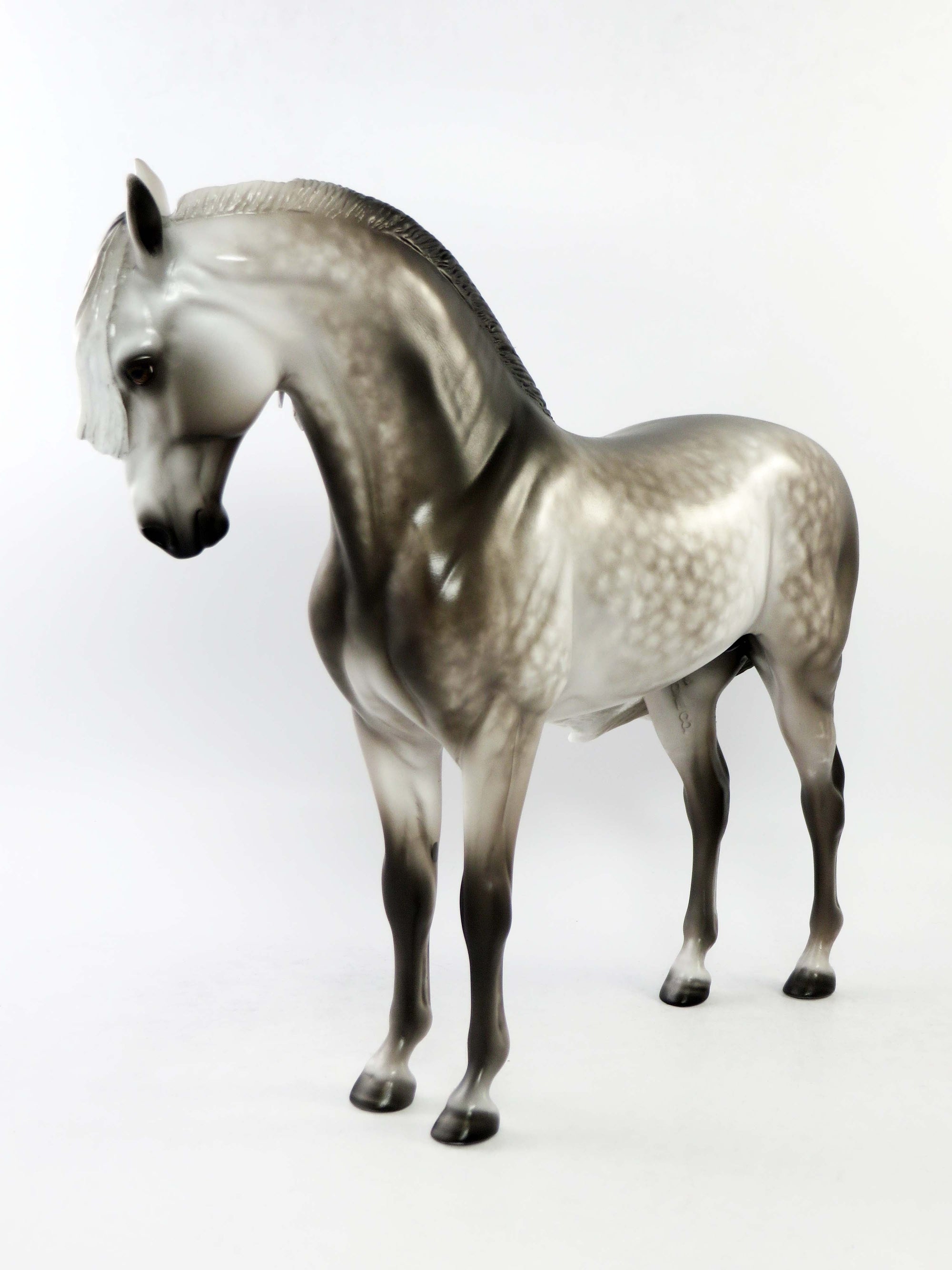 CORTLAND-OOAK STAR DAPPLE DARK GREY  ANDALUSIAN MODEL HORSE BY SHERYL LEISURE EQ 2018